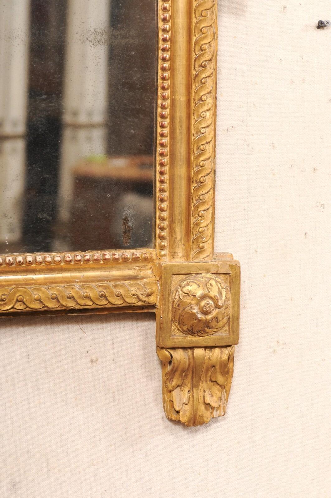 19th C. French Neoclassical Ornately-Carved & Gilt Mirror w/Urn Floral Crest For Sale 5