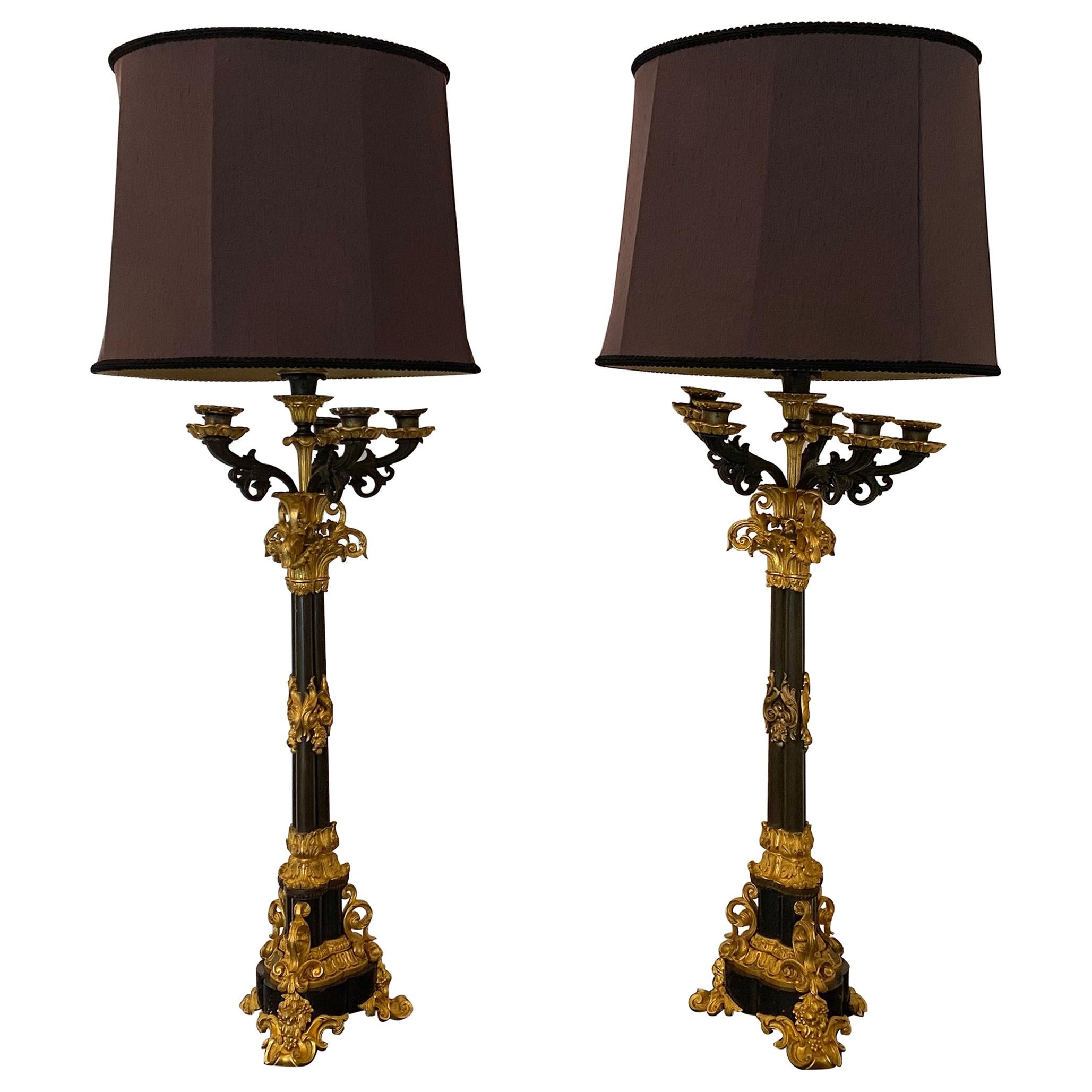 19th Century French Rococo Dore Bronze Candelabra Lamps For Sale
