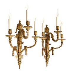 19th c. gilt bronze wall sconces in Louis XVI style