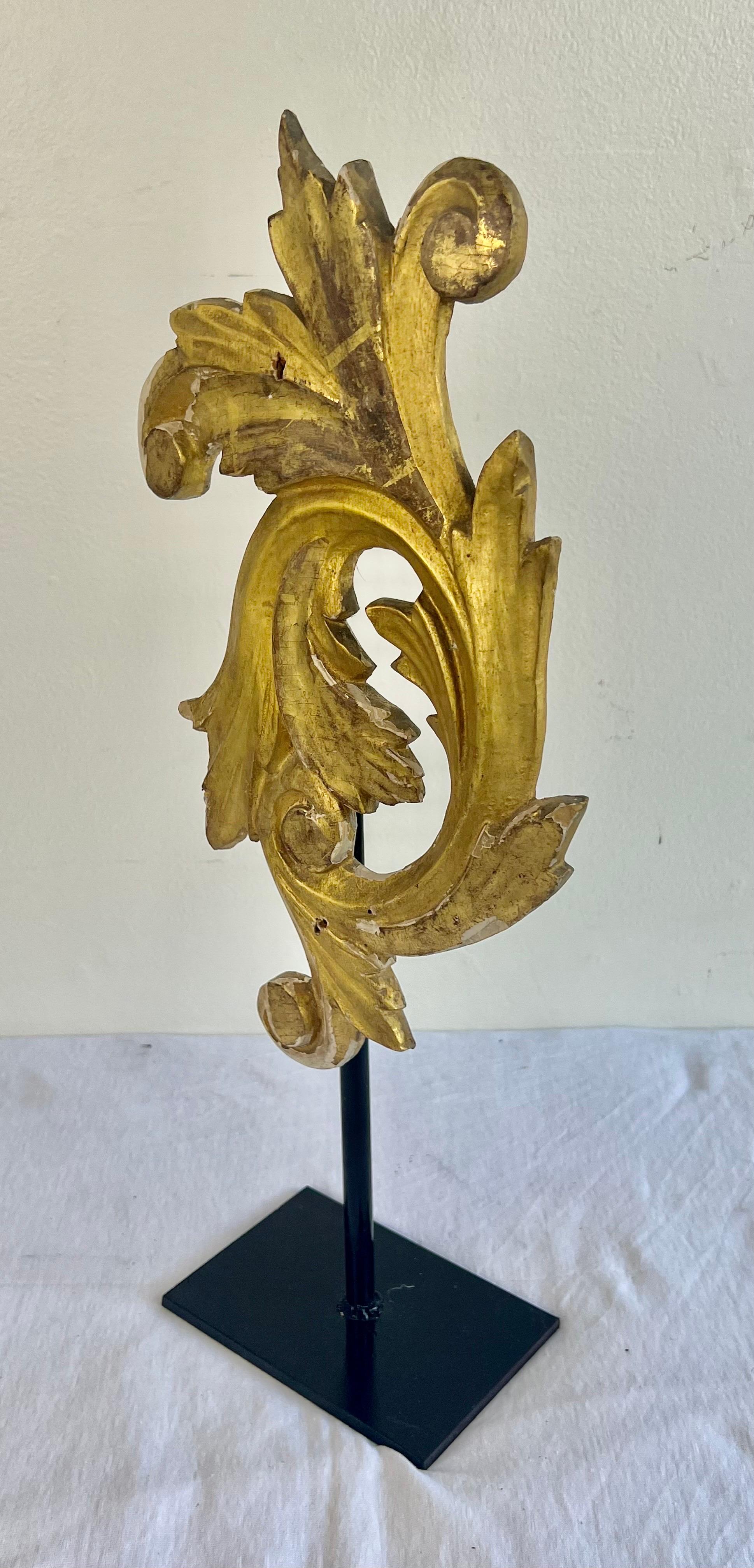 19th century gilt wood carved architectural remnant shaped like a swirling acanthus leaf.  The acanthus leaf is mounted to an iron base for decor.  This would be great on an end table or bookshelf for display.