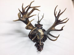 Grand Dukes of Baden Red Stag Trophy on Hand Carved Black Forest Plaque