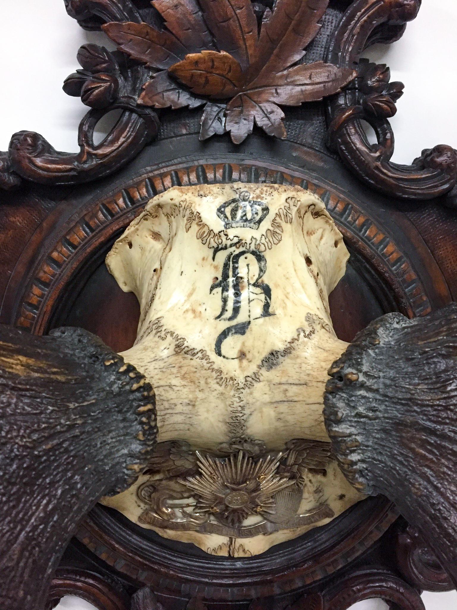 XIXe siècle Trophée de cerf rouge des Grands Ducs de Bade sur une plaque de forêt noire sculptée à la main