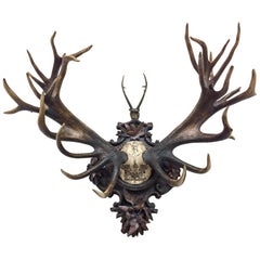 Antique Grand Dukes of Baden Red Stag Trophy on Hand Carved Black Forest Plaque