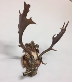 Habsburg Fallow Deer Trophy on Hand Carved Plaque from Eckartsau Castle