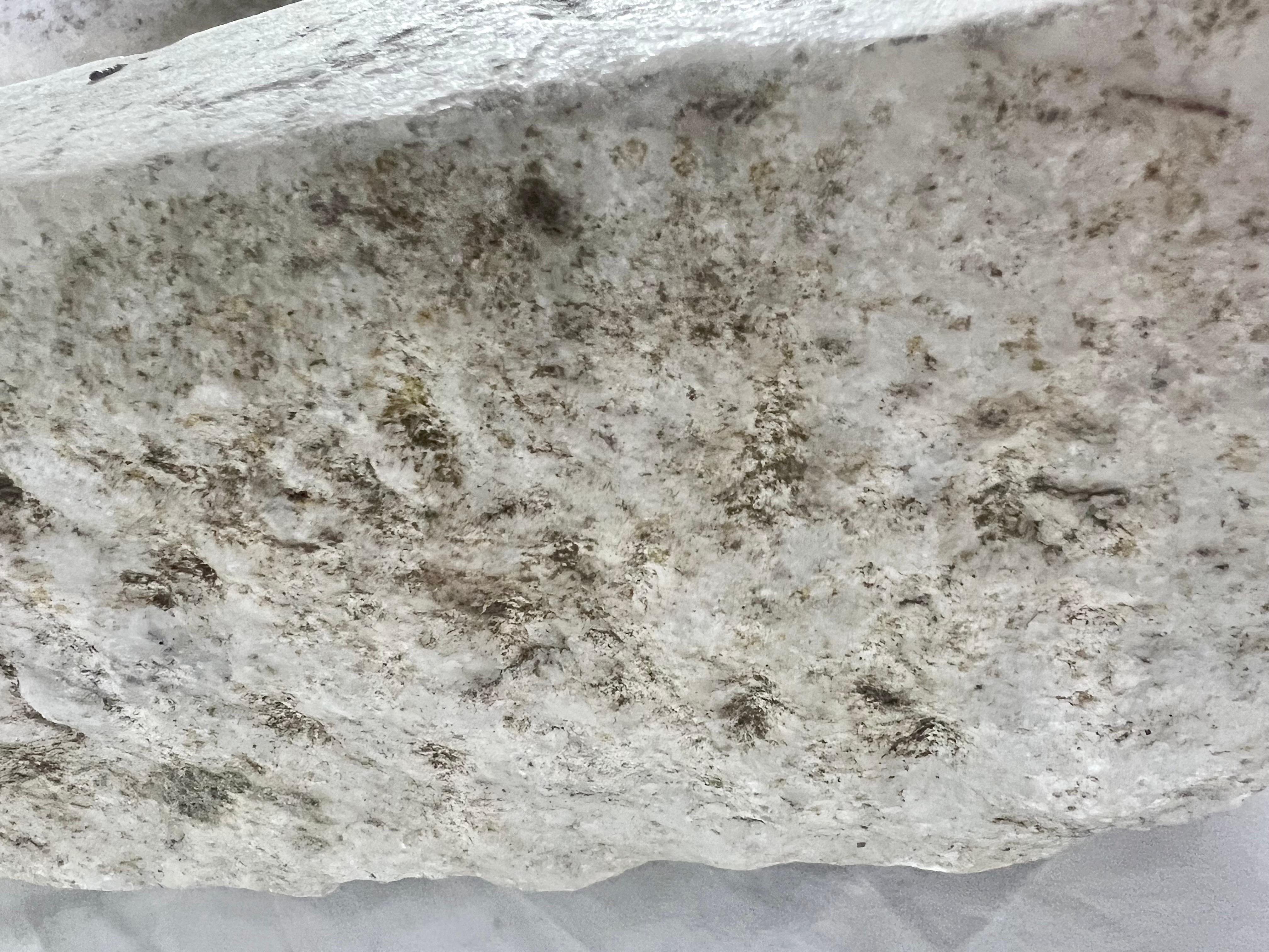 Lavabo francés de piedra cincelada a mano del siglo XIX en venta 2