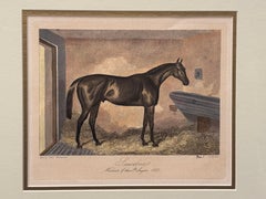 19th c. Hand-colored British Engraving, “Saucebox” 1855 by Edward Hacker