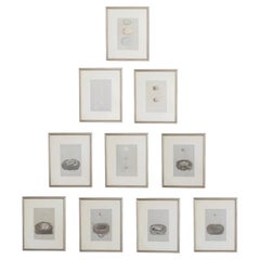 19th C. Hand Colored Egg & Nest Engravings from England, Framed