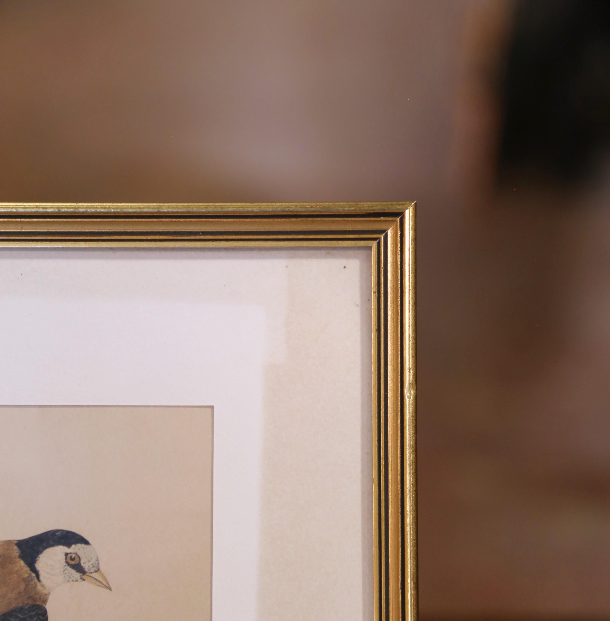 19th C. Hand-Colored Lithographs by Gould Printed by C. Hullmandel, Set of 3 For Sale 5