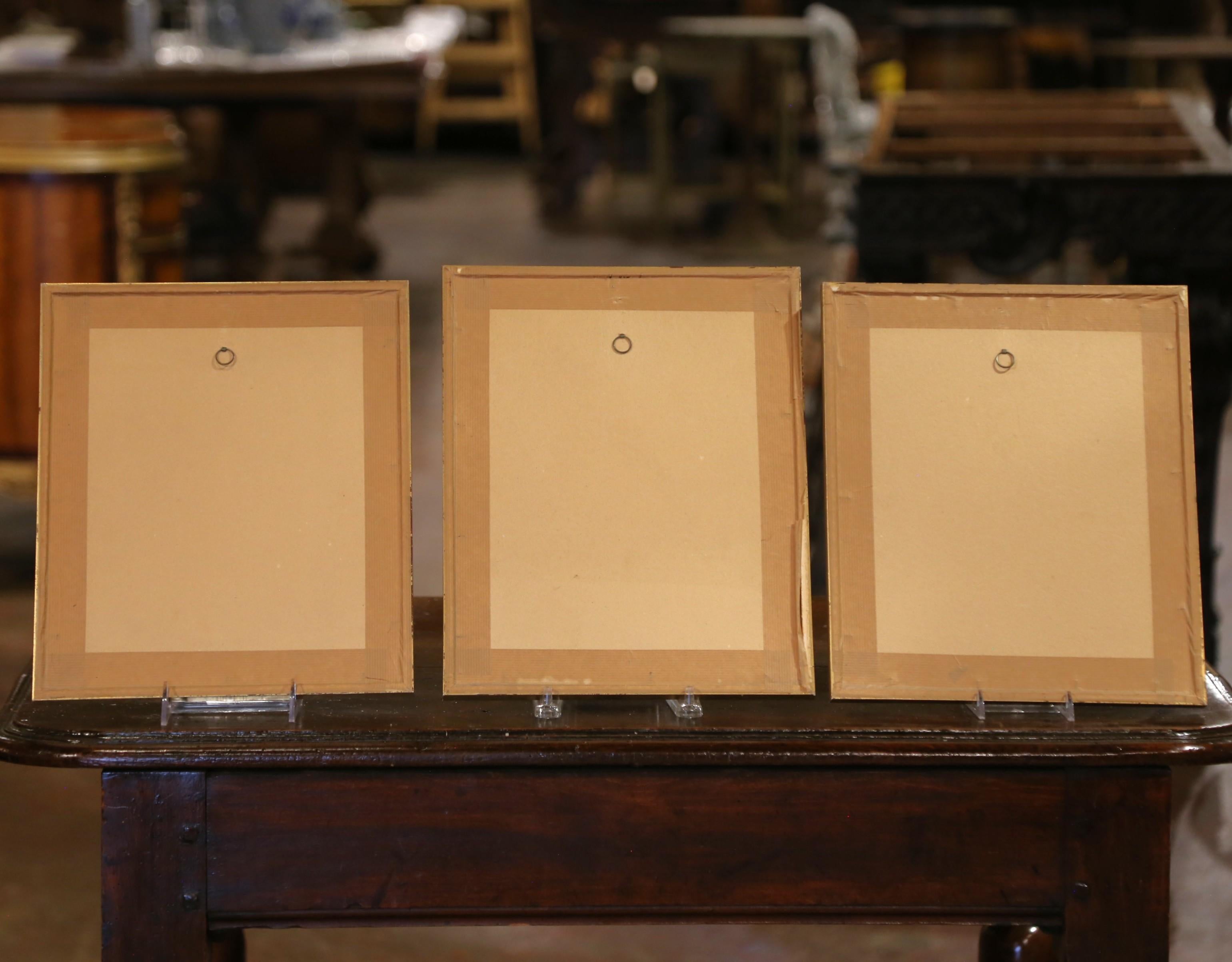 19th C. Hand-Colored Lithographs by Gould Printed by C. Hullmandel, Set of 3 For Sale 6