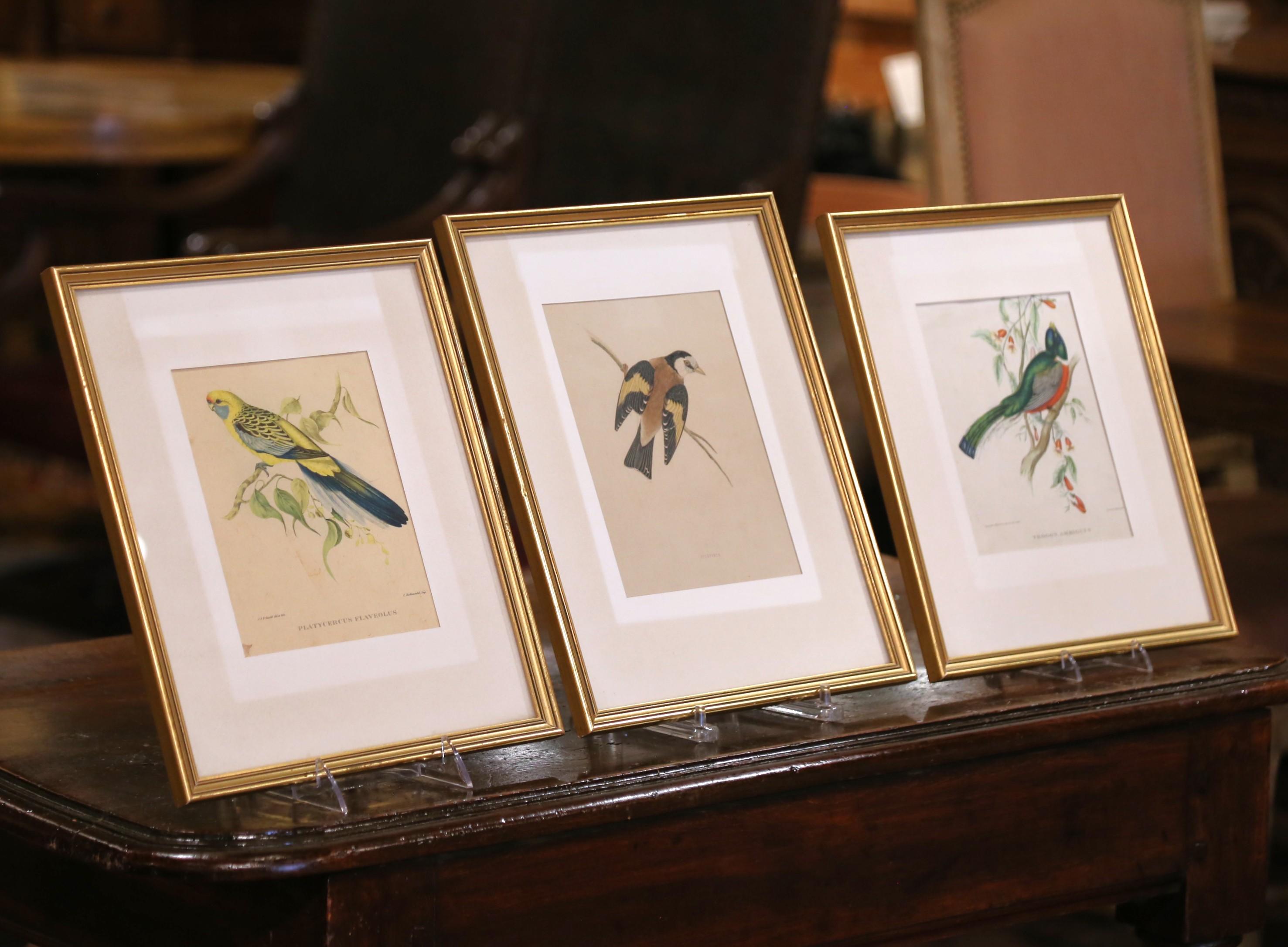 Offered as a set of three, these exquisite English 19th-century hand-colored ornithological lithographs feature vibrant bird studies by John and Elizabeth Gould, among the most prominent bird illustrators of the Victorian era. Drawn from nature and