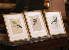 19th C. Hand-Colored Lithographs by Gould Printed by C. Hullmandel, Set of 3