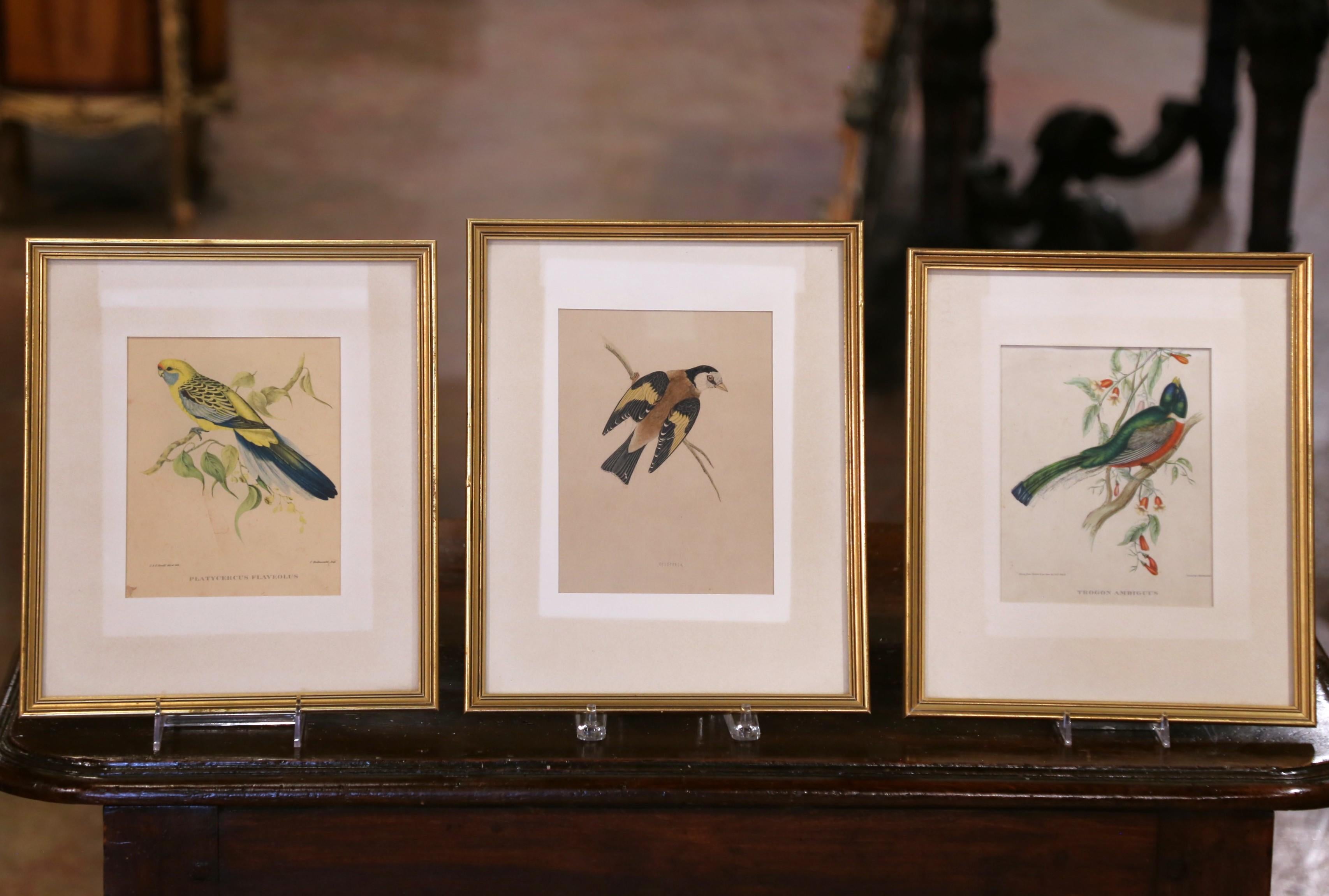 19th C. Hand-Colored Lithographs by Gould Printed by C. Hullmandel, Set of 3 In Excellent Condition For Sale In Dallas, TX