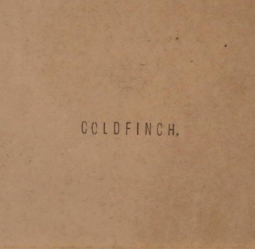 19th Century 19th C. Hand-Colored Lithographs by Gould Printed by C. Hullmandel, Set of 3 For Sale