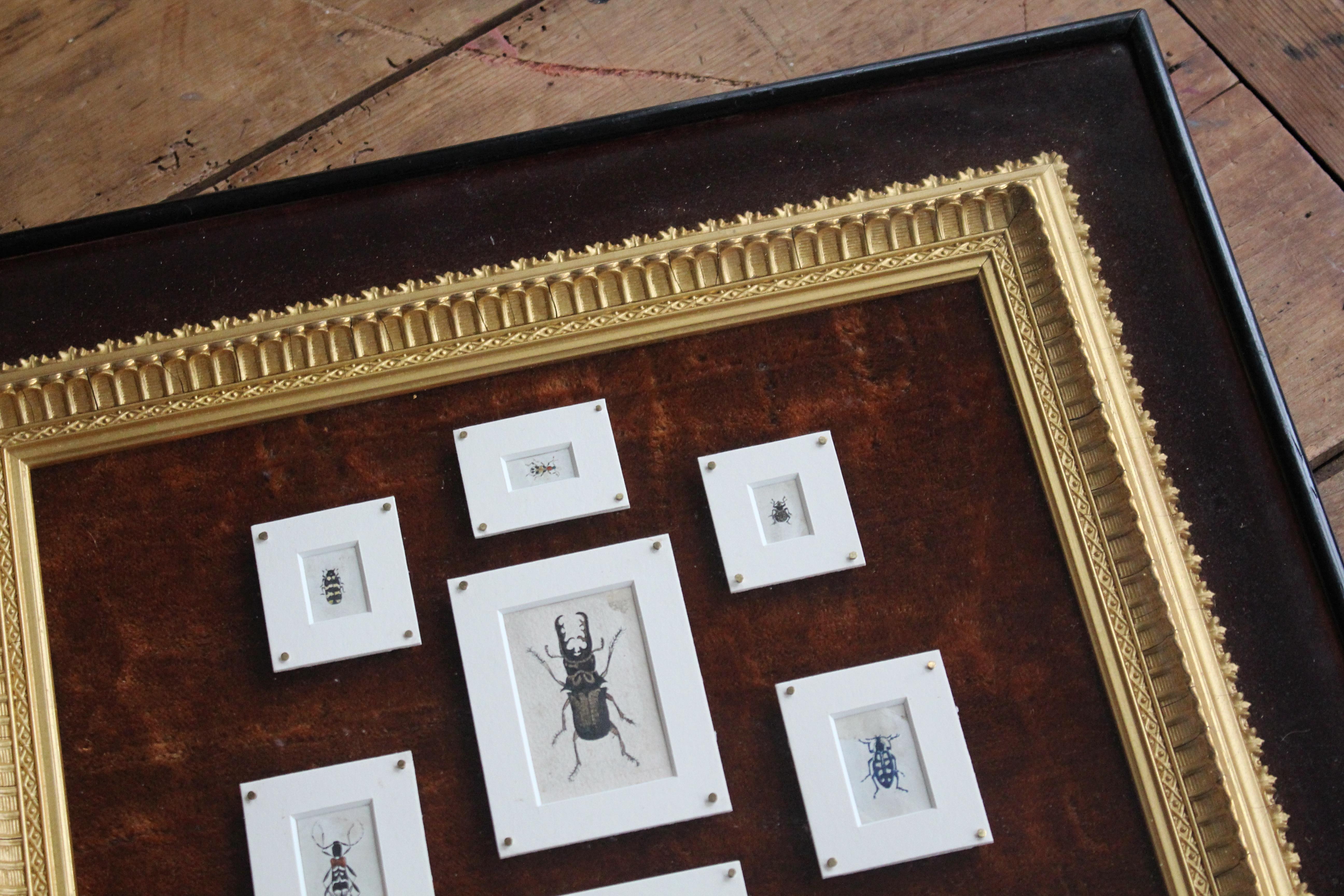 19th C Hand Painted Entomology Studies Gothic Revival Shadow Box Taxidermy Curio For Sale 8