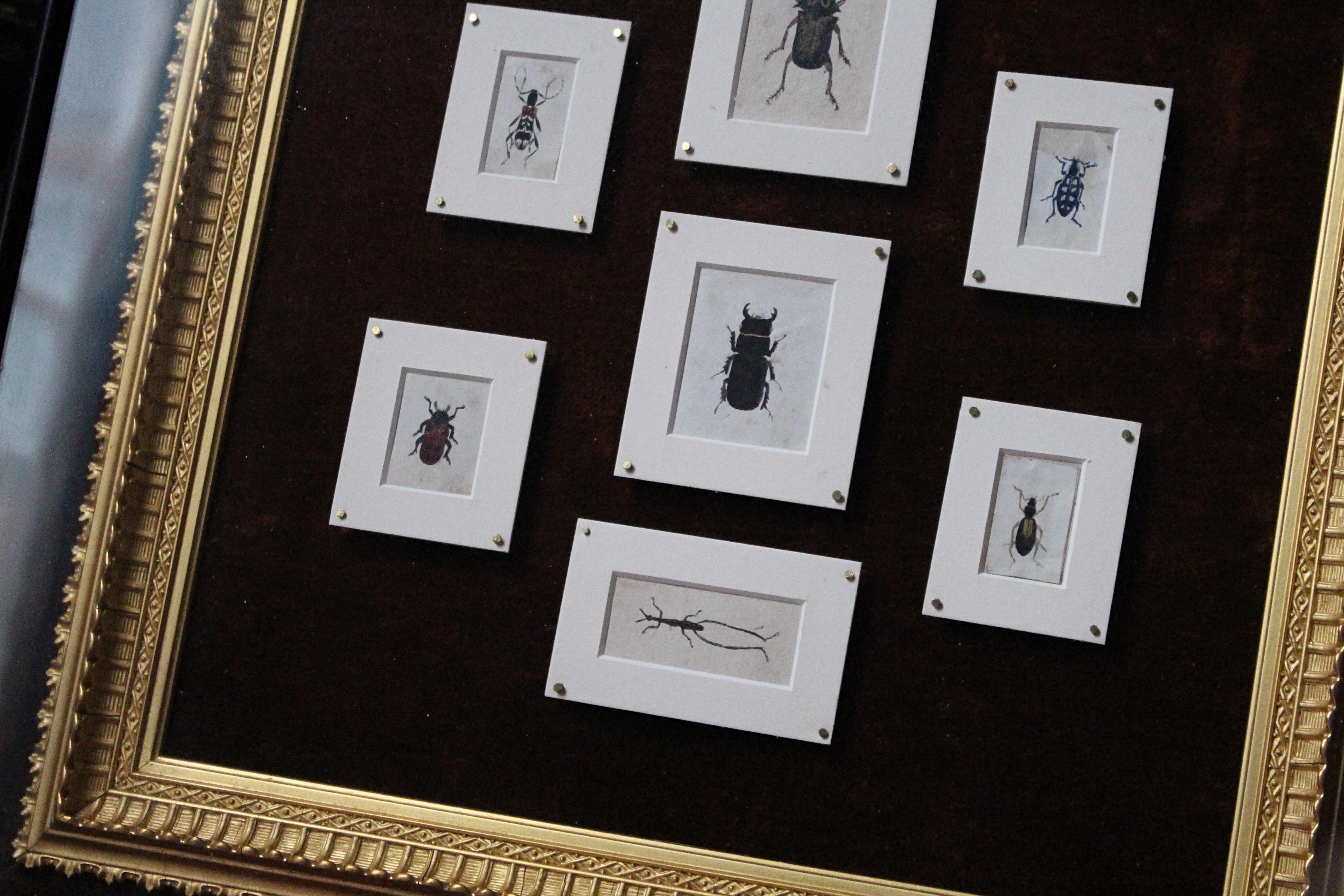 19th Century 19th C Hand Painted Entomology Studies Gothic Revival Shadow Box Taxidermy Curio For Sale
