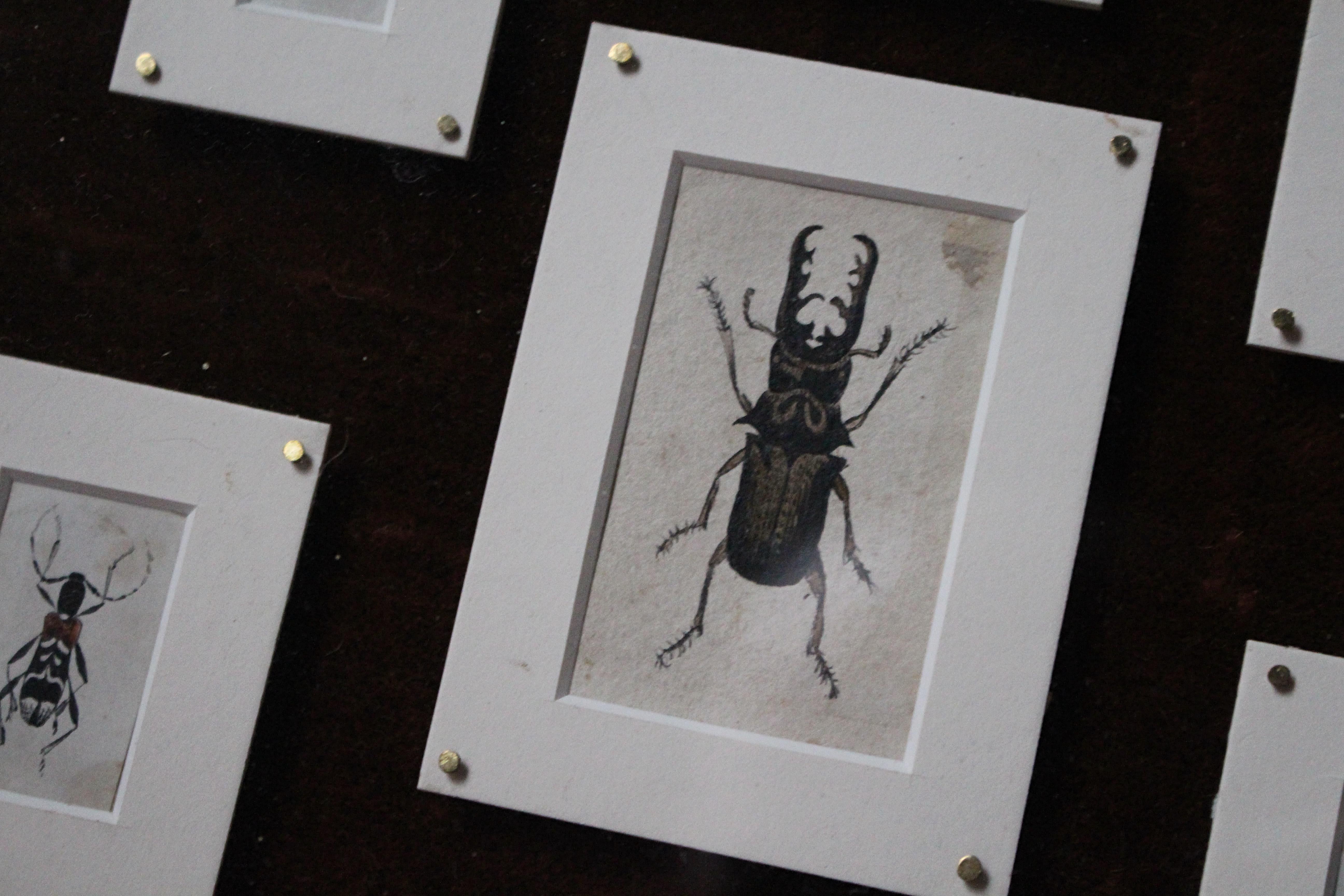Velvet 19th C Hand Painted Entomology Studies Gothic Revival Shadow Box Taxidermy Curio For Sale