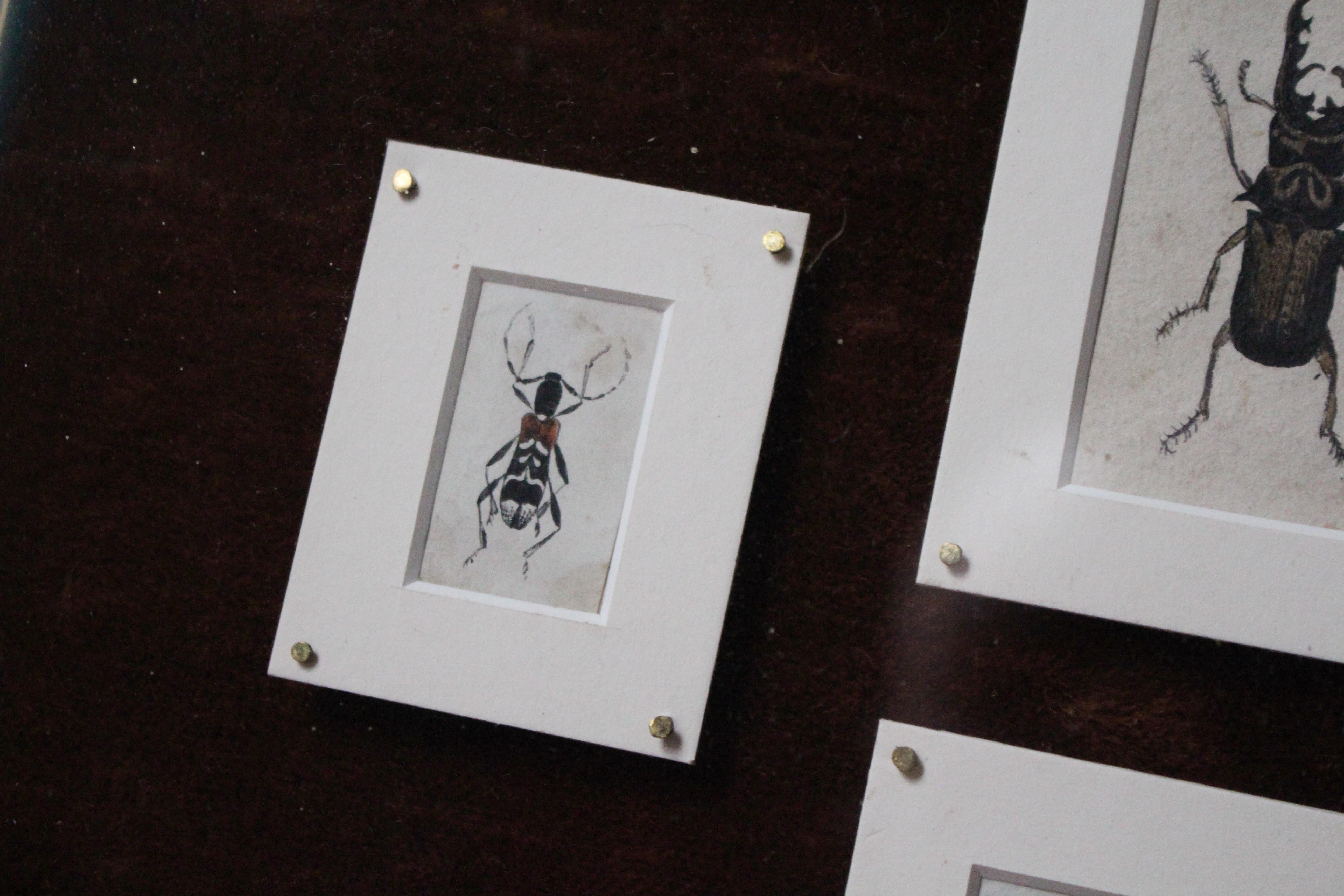19th C Hand Painted Entomology Studies Gothic Revival Shadow Box Taxidermy Curio For Sale 1