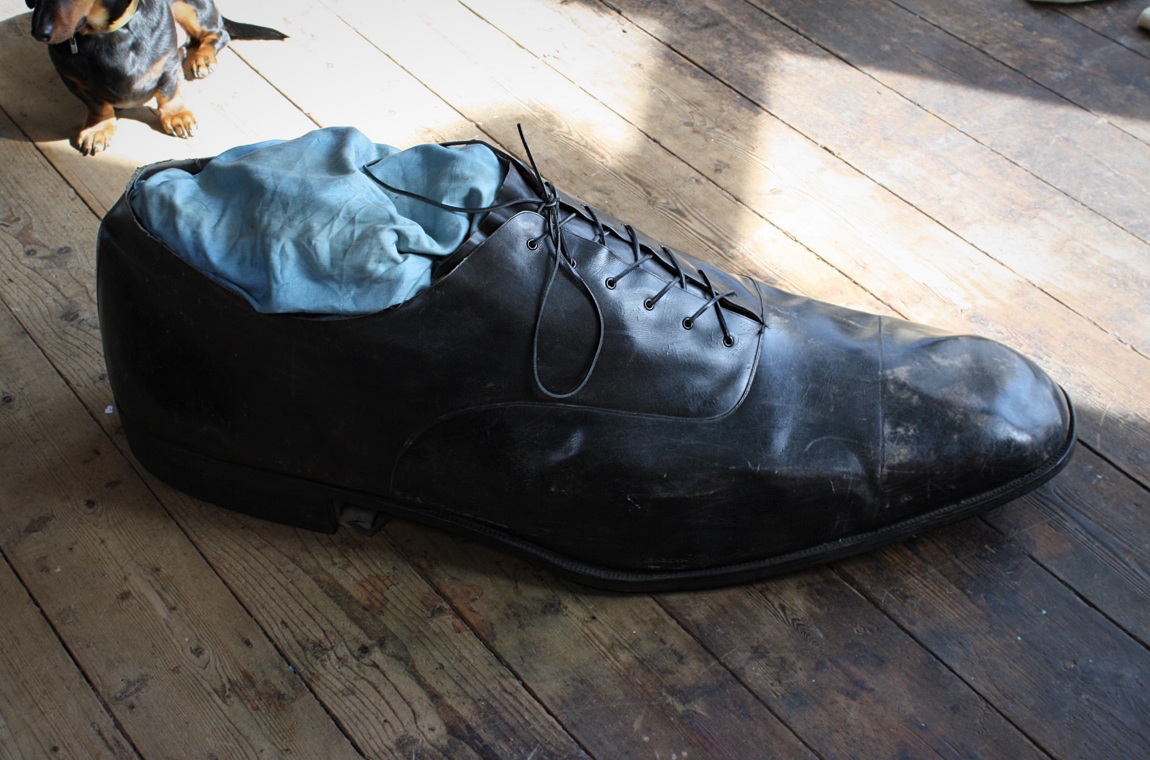 An absolutely huge hand made (by a cobbler) fully leather cap toe Oxford shoe, with leather sole & heal finished with period hobnails.

The shoe would off been made for a trade exhibition or show, the piece is in complete untouched original