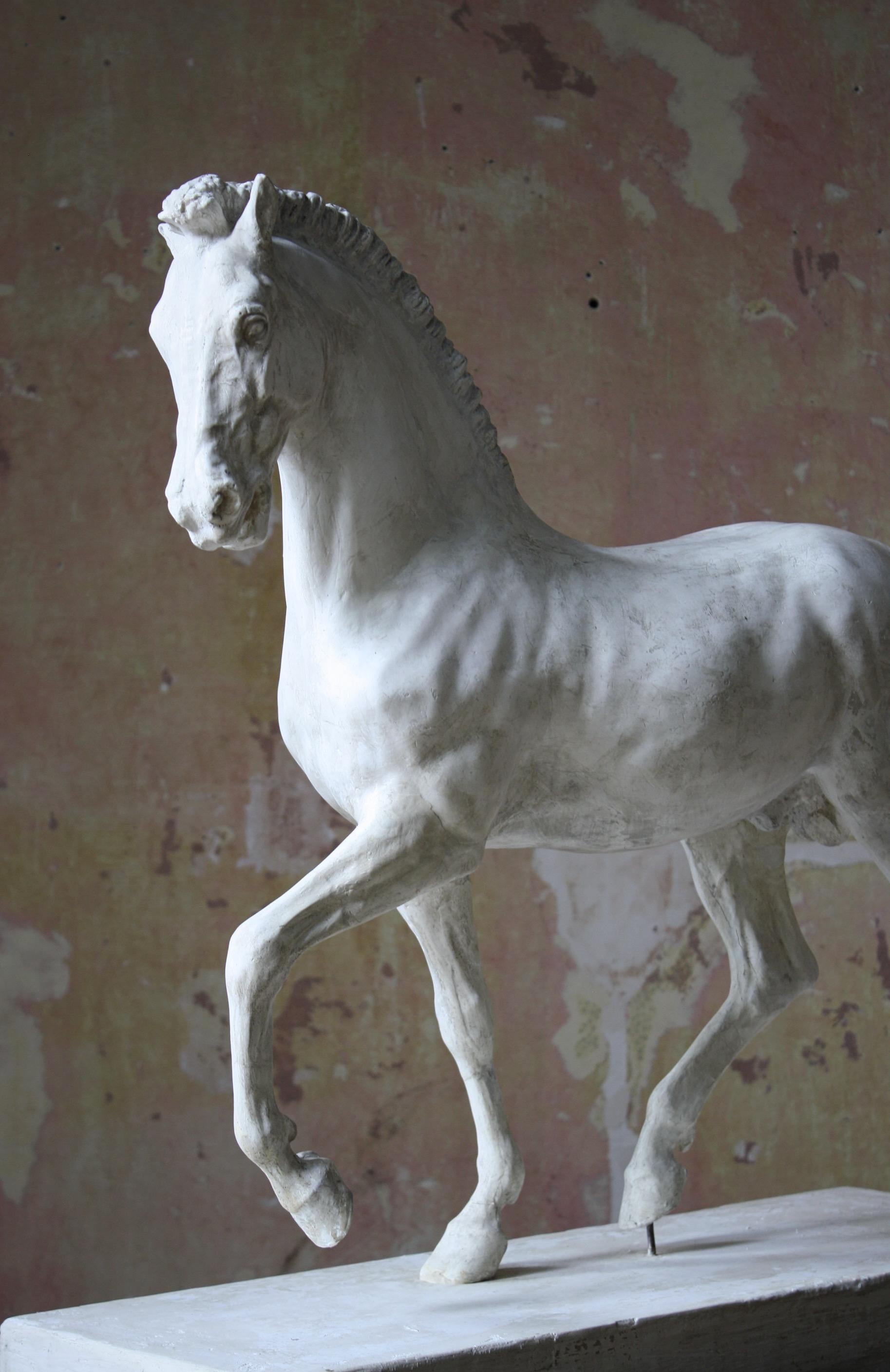 19th C Italian Basilica, Venice St Marks Plaster Equestrian Horse Statuette 6