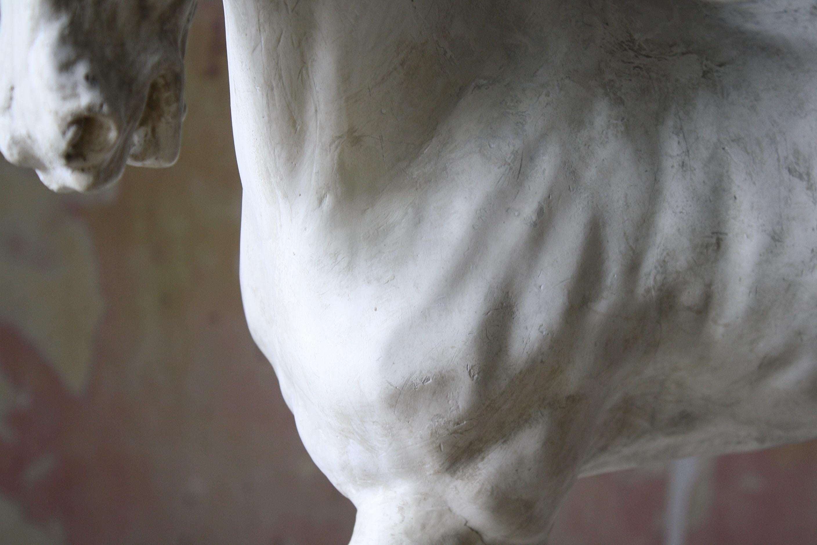 19th C Italian Basilica, Venice St Marks Plaster Equestrian Horse Statuette 8