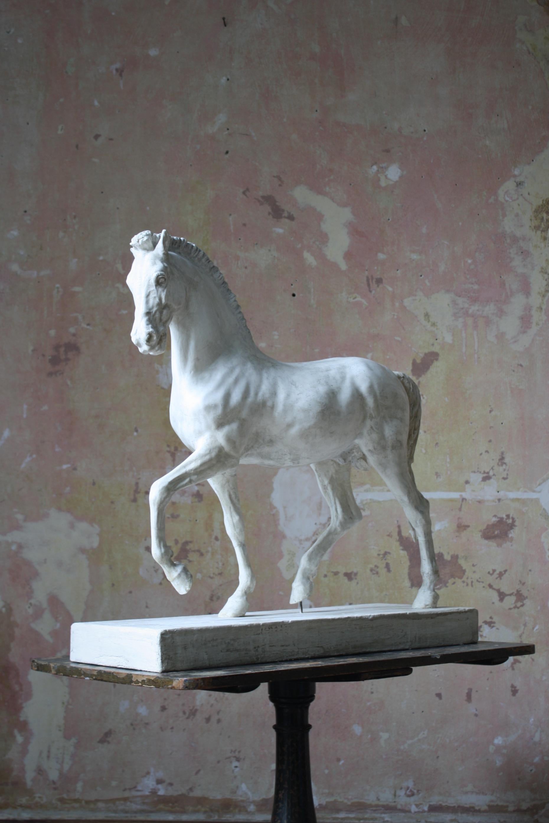 19th C Italian Basilica, Venice St Marks Plaster Equestrian Horse Statuette 9