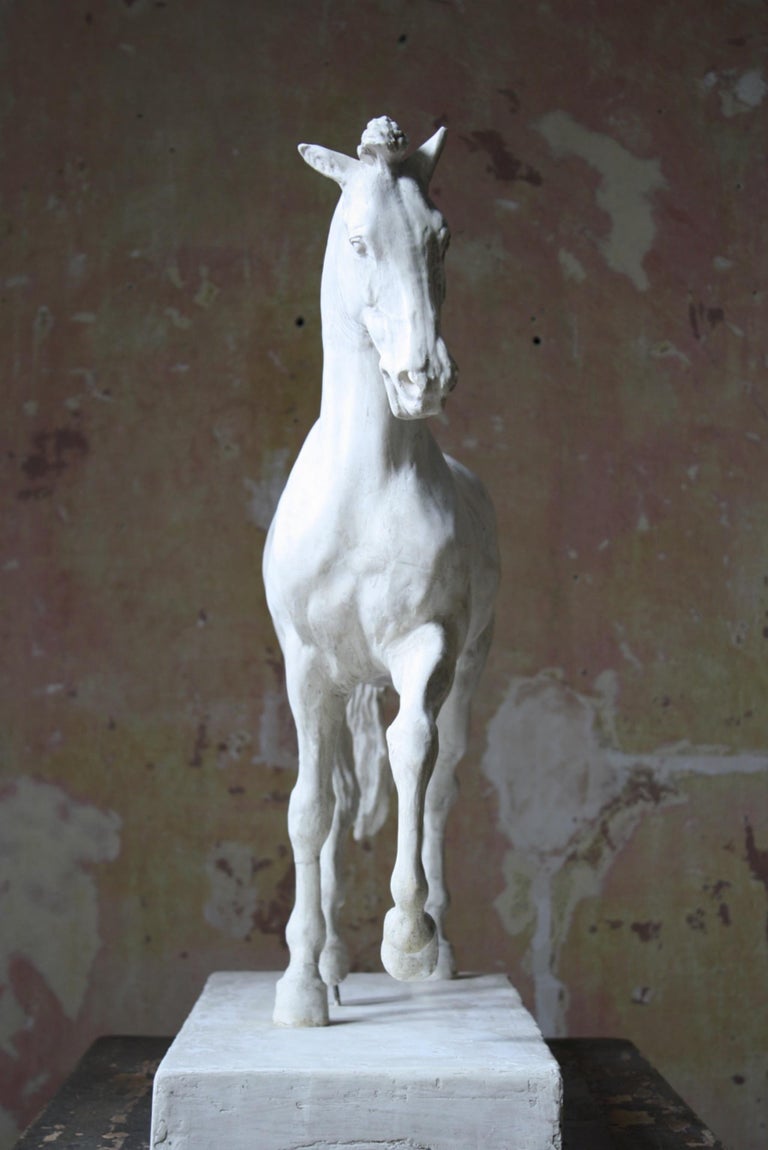 19th C Italian Basilica, Venice St Marks Plaster Equestrian Horse Statuette  For Sale at 1stDibs