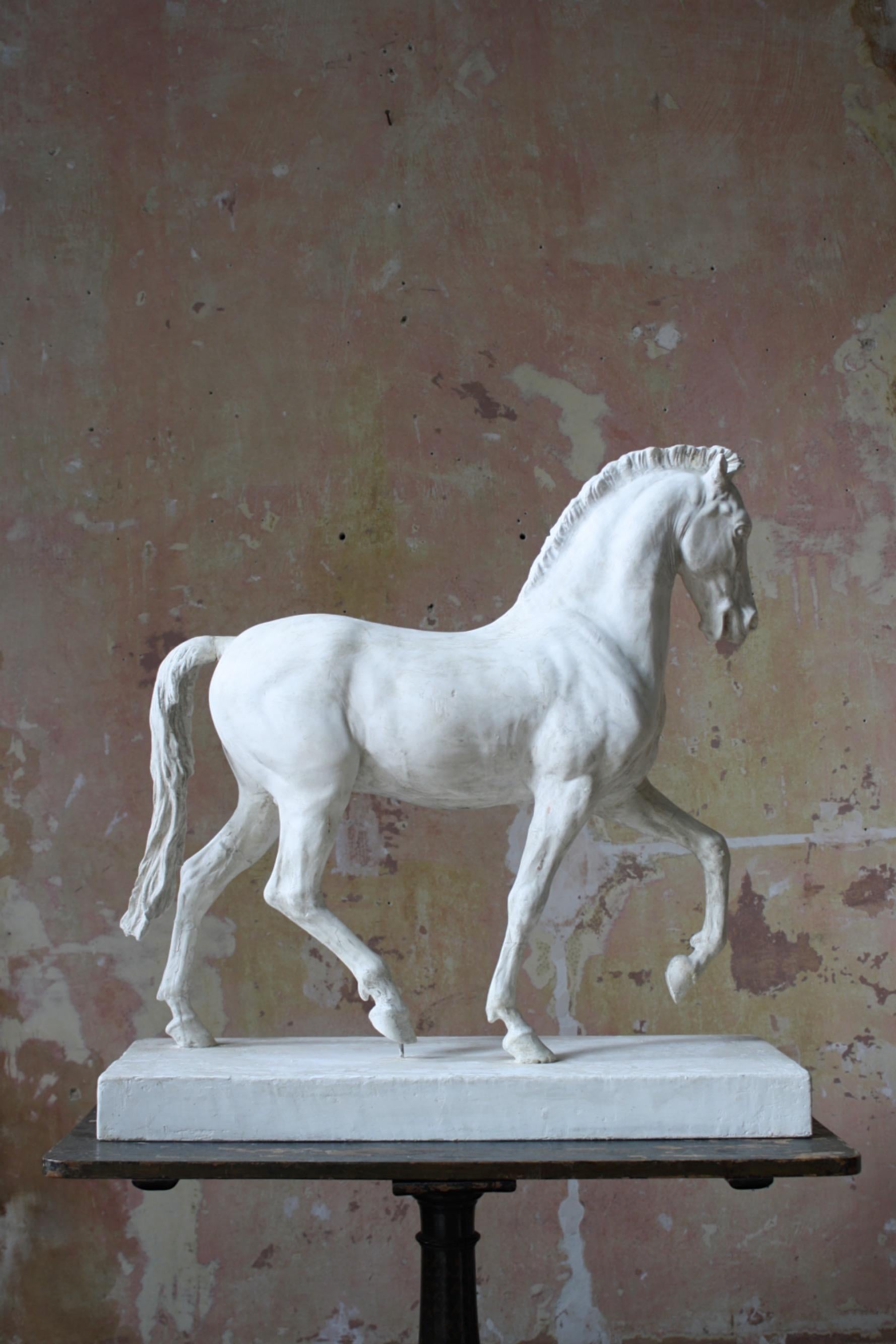 19th C Italian Basilica, Venice St Marks Plaster Equestrian Horse Statuette 11
