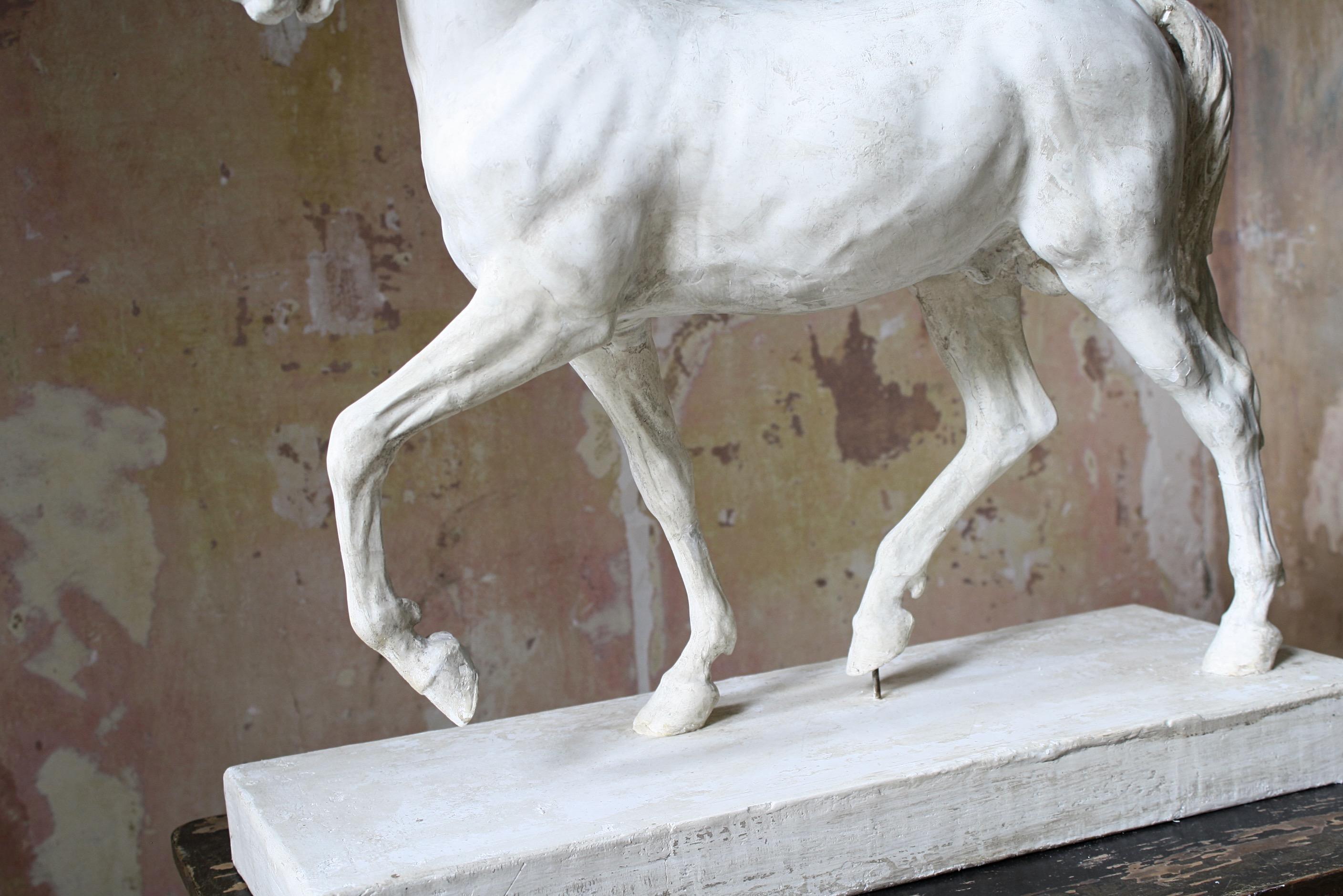 19th C Italian Basilica, Venice St Marks Plaster Equestrian Horse Statuette 2