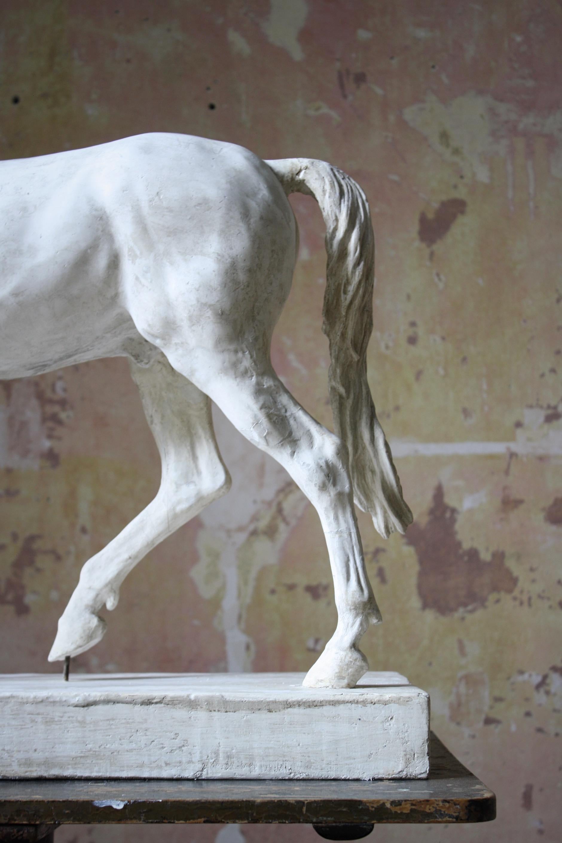 19th C Italian Basilica, Venice St Marks Plaster Equestrian Horse Statuette 4
