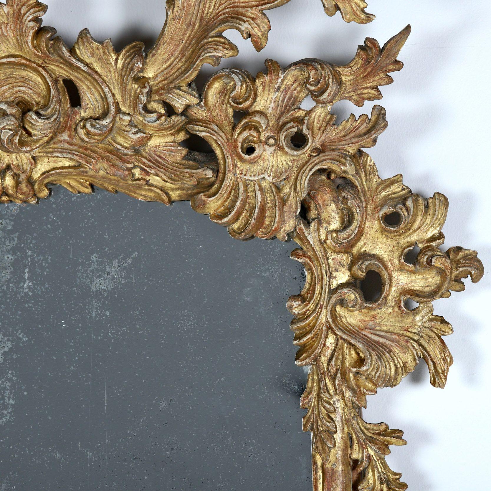 19e s. Miroir italien rococo en bois doré avec plaque de miroir originale Excellent état - En vente à Wichita, KS