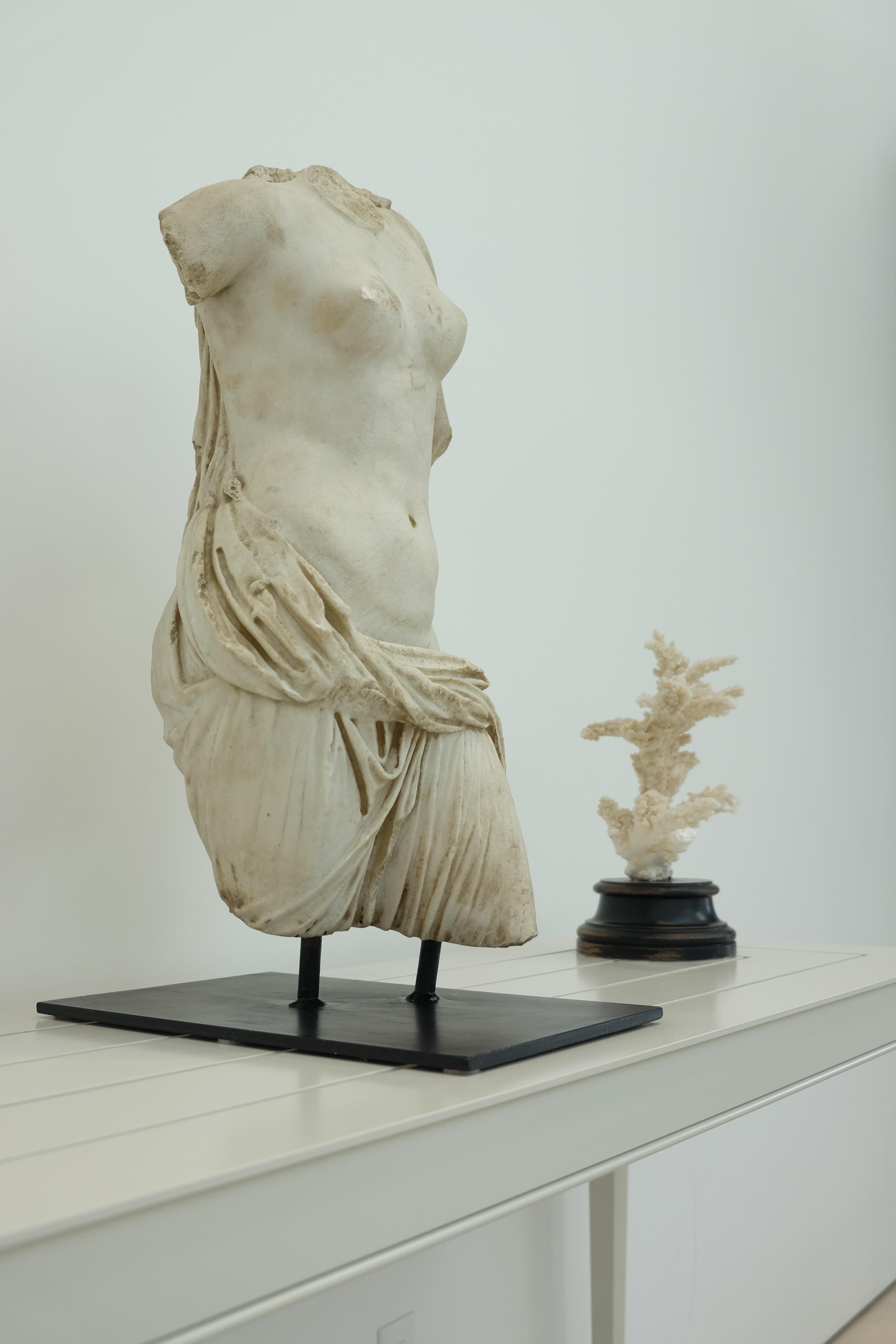 Large Italian female marble torso on steel museum mount. Exquisite patina. Exceptional transparency and modeling of the himation showing a very high level of carving skill.