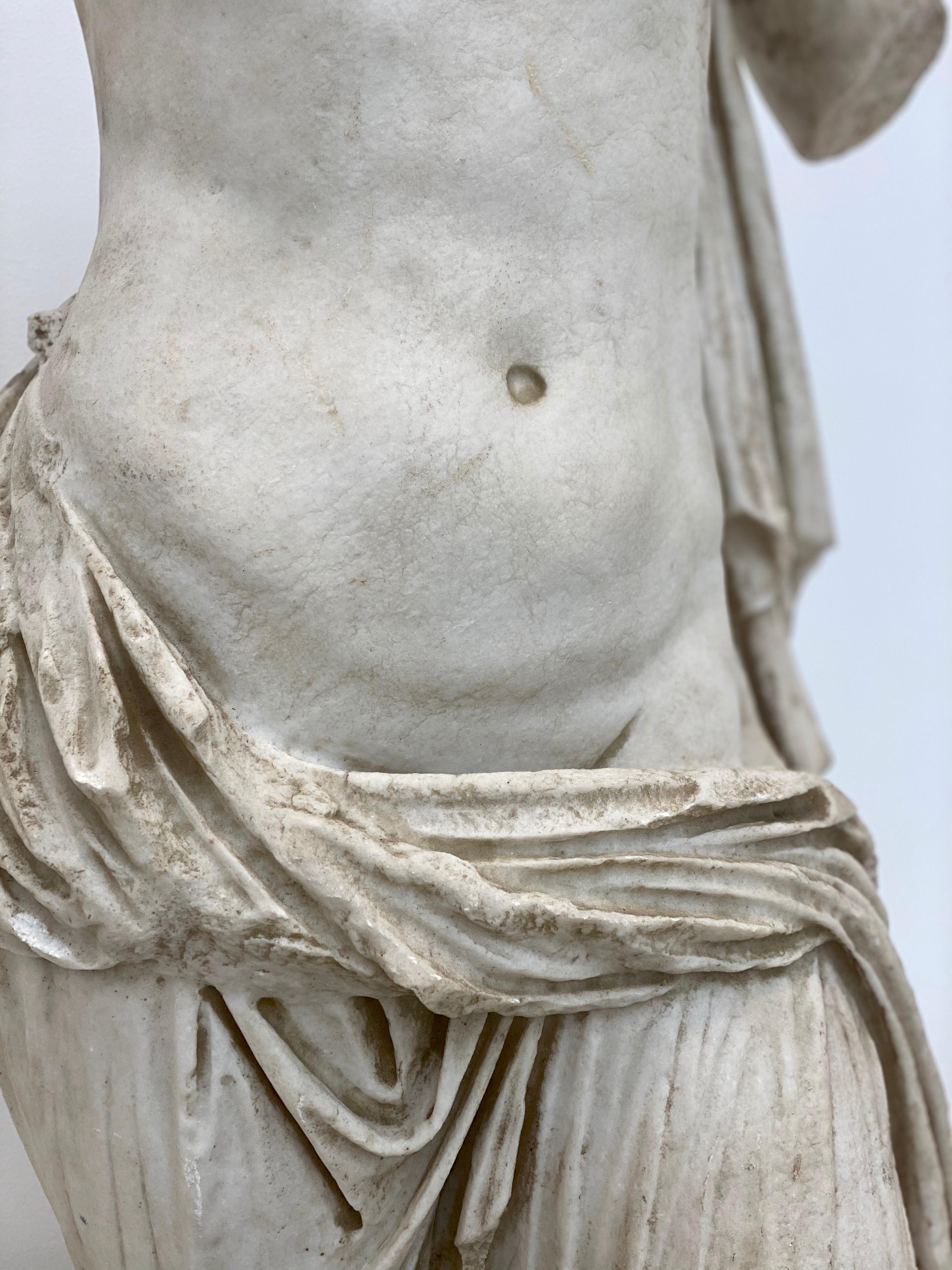 Carrara Marble 19th Century Italian Marble Female Torso on Steel Museum Mount