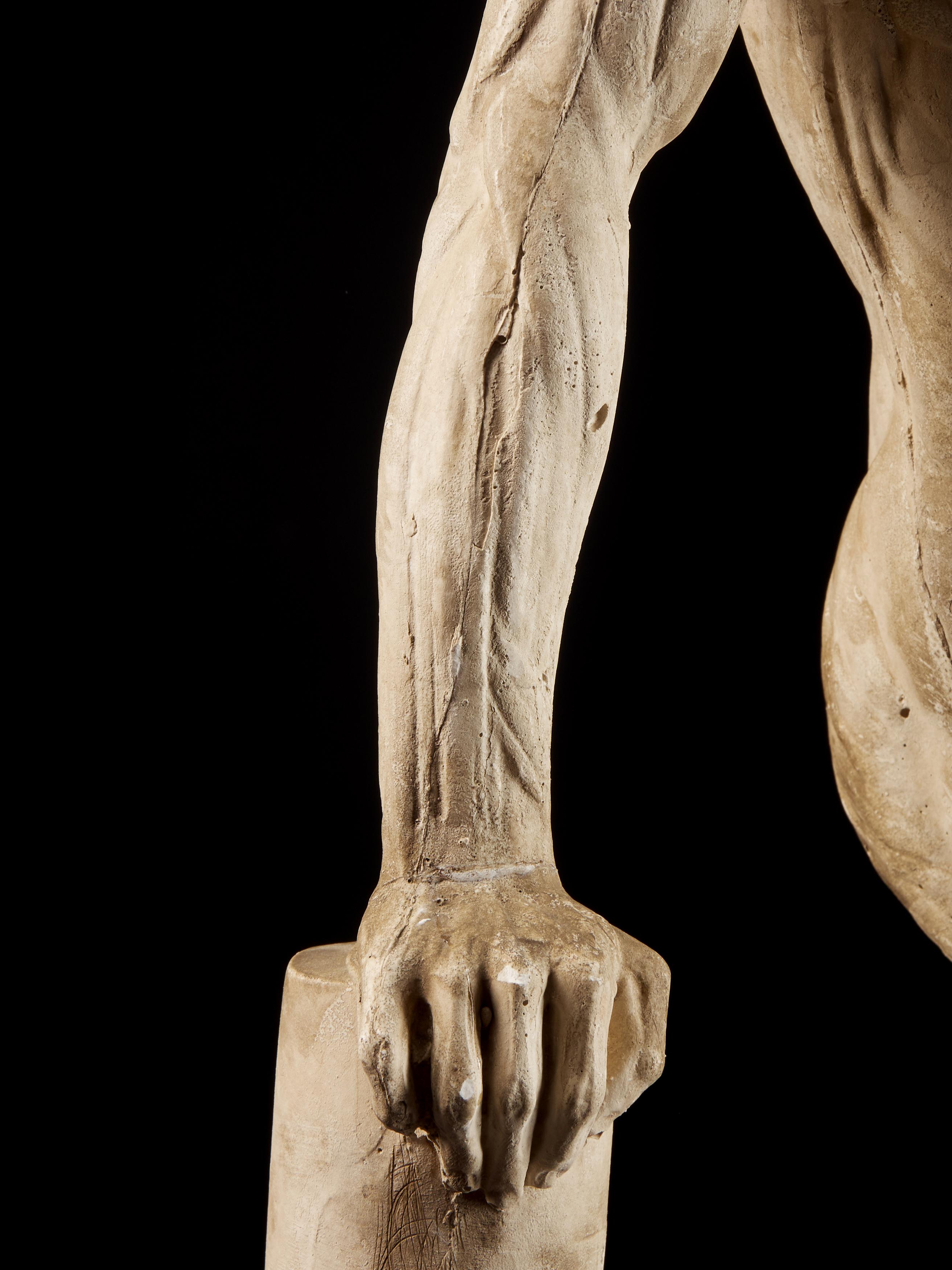 19th Century, Italian School, Two Anatomical Flayed Figures in Plaster 8