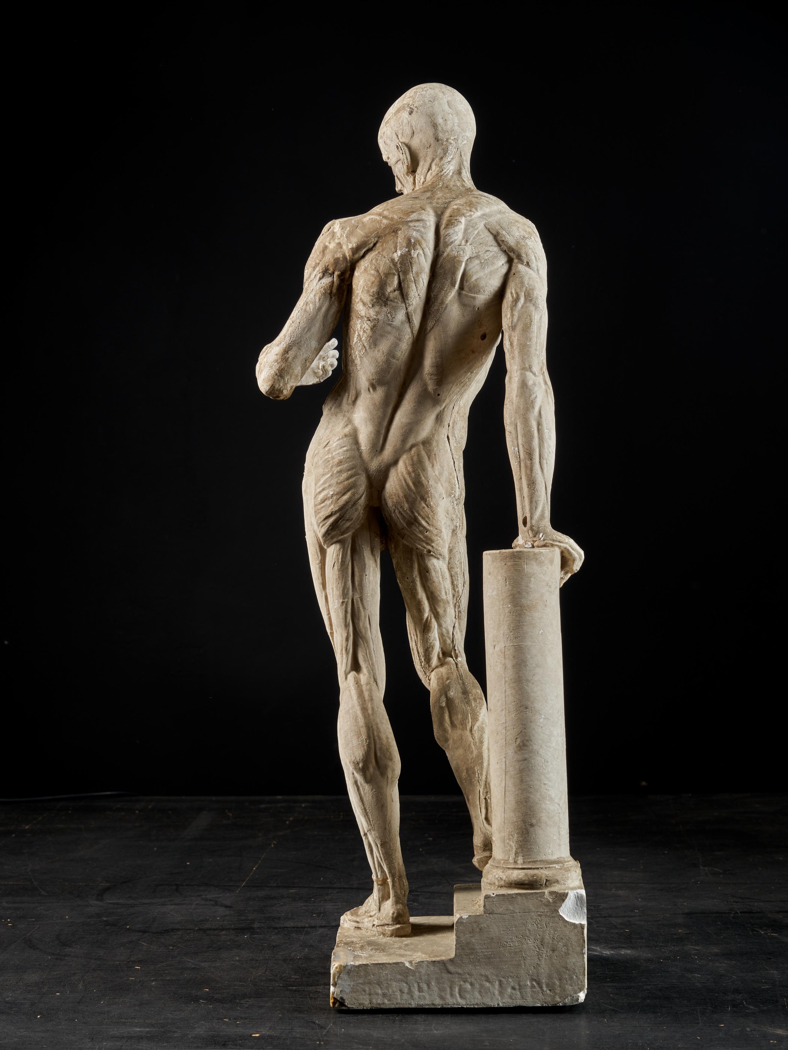 19th Century, Italian School, Two Anatomical Flayed Figures in Plaster 1