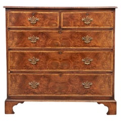 19th C. Large Fine Figured Wood Chest of Drawers