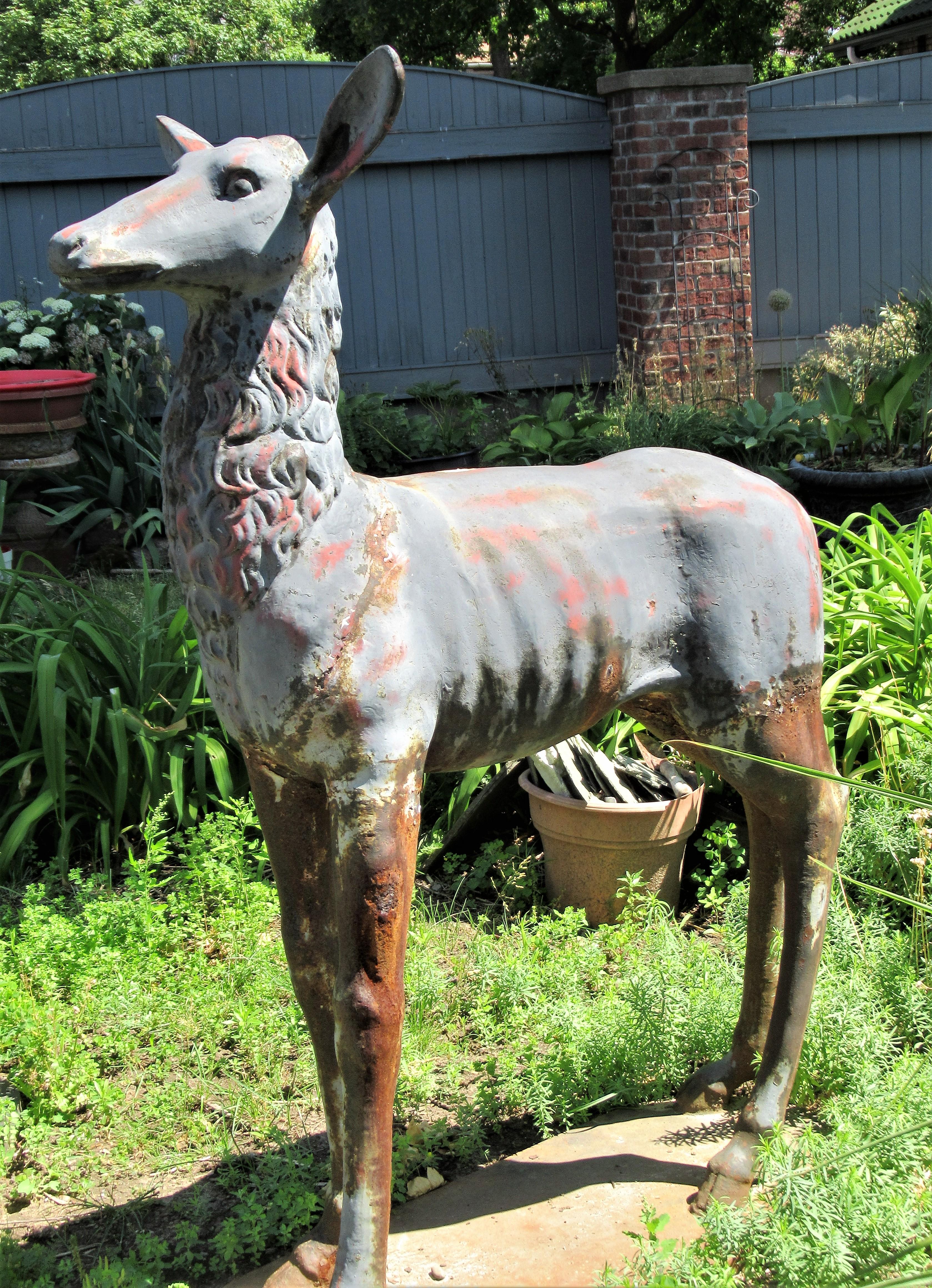 Antique 19th century American well detailed cast iron life-size stag and doe garden ornament statuary in what appears to be the original beautifully aged weathered gray painted surface showing some underlying oxidzed red  bole. There are areas of
