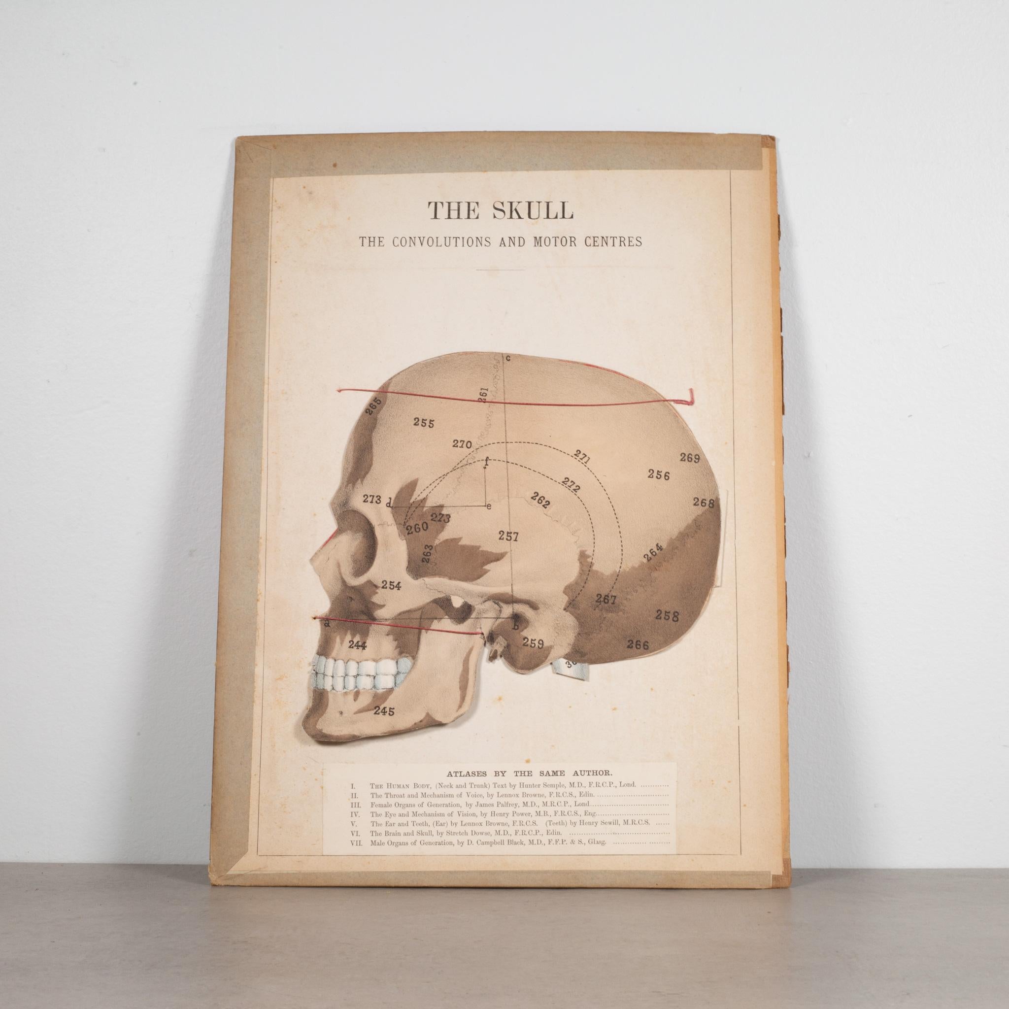 American 19th c. Medical Movable Atlas Book of the Human Body, c.1880