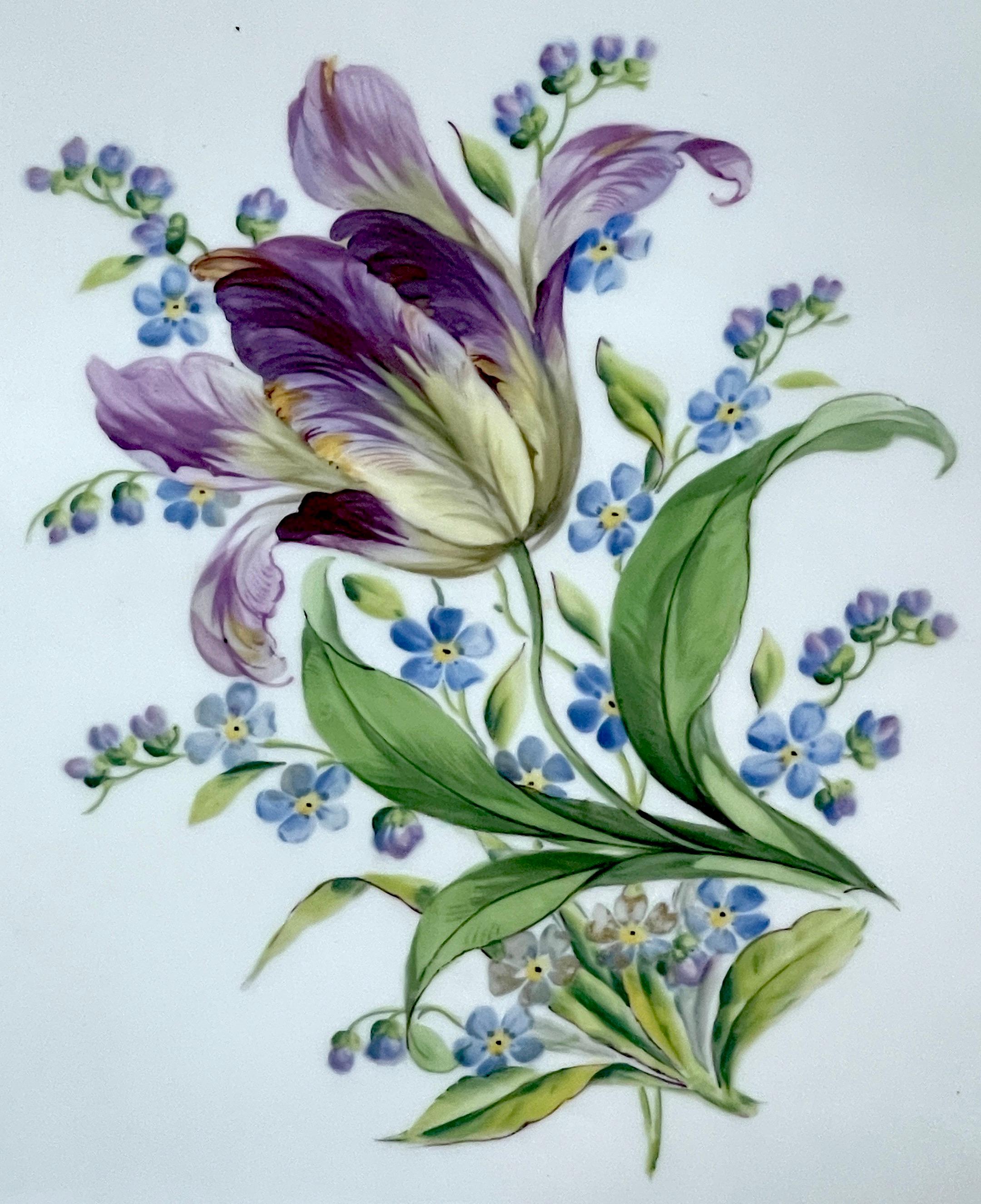 German 19th C Meissen Tulip Botanical Gilt Tray 