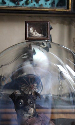 19th C Mouse Curiosity Cavendish Tomb Taxidermy William Bentinck Prime Minister