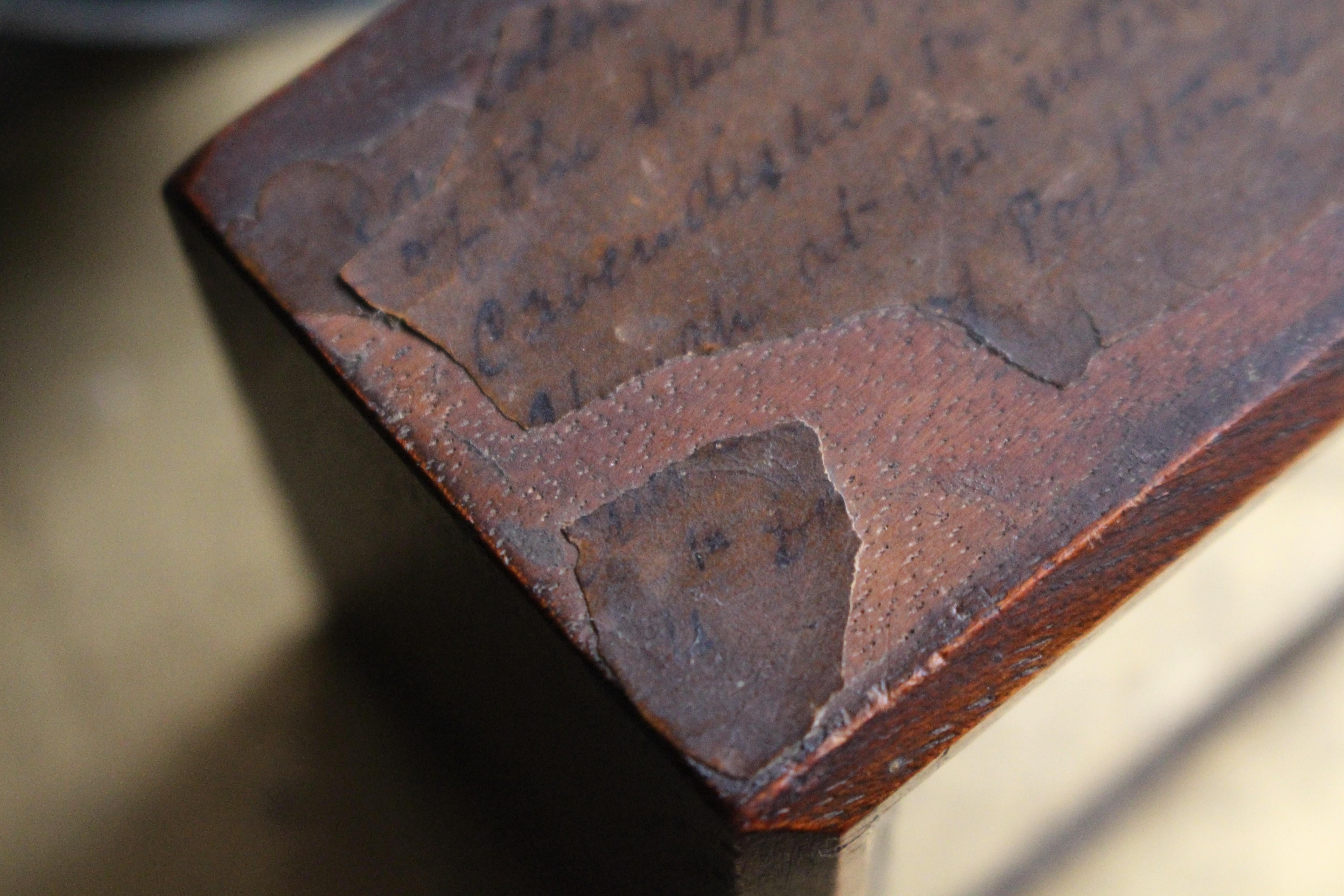 Fibre naturelle A.I.C.C. Taxidermie William Bentinck Prime Minister en vente