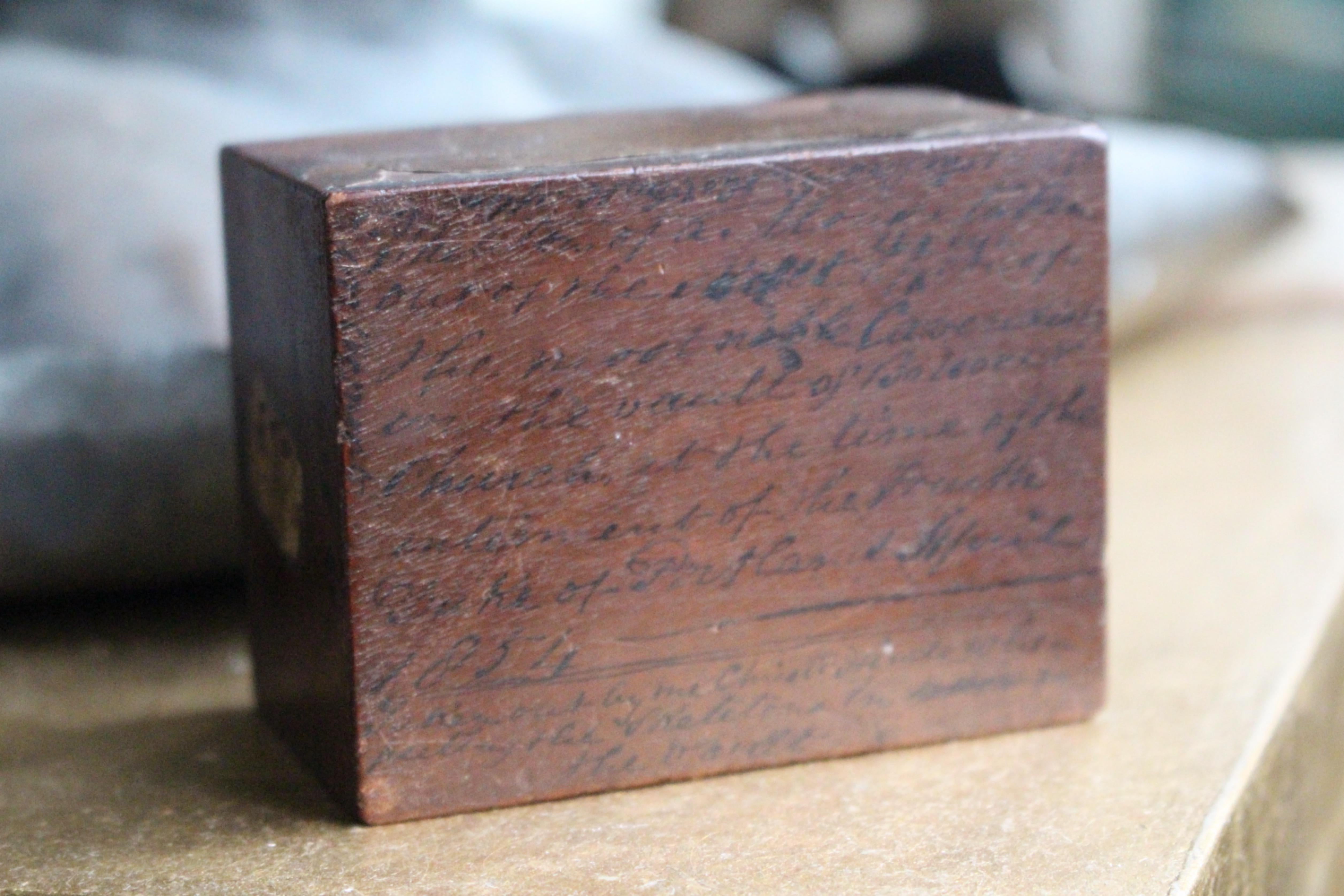 A.I.C.C. Taxidermie William Bentinck Prime Minister en vente 1