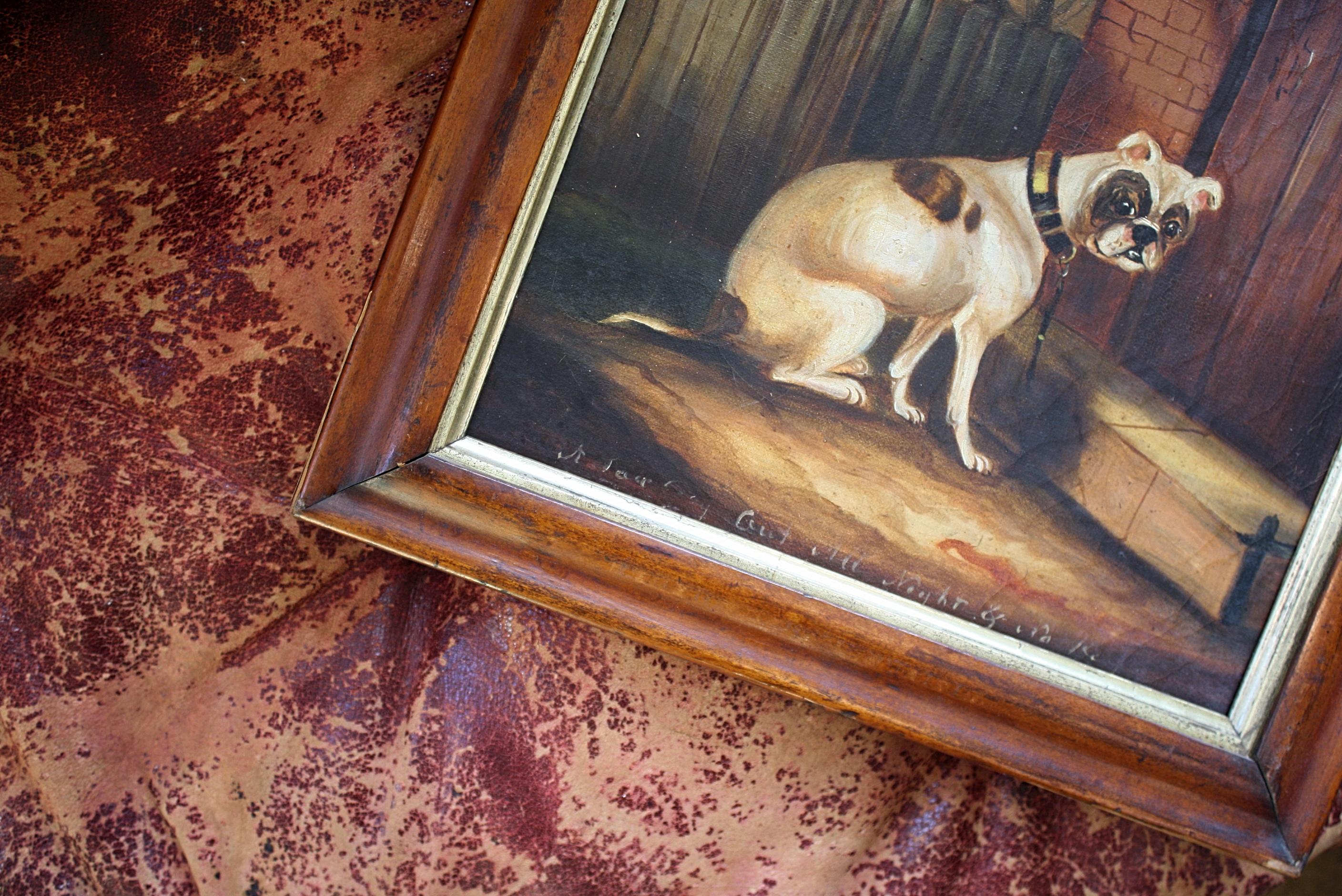 A wonderful naive depiction of a cream and tan bulldog housed in maple veneer frame will gilt slip.

The image is oil on canvas with age related craqueleur, the canvas is taught and in good condition. 

At the bottom of the painting the verso 'A