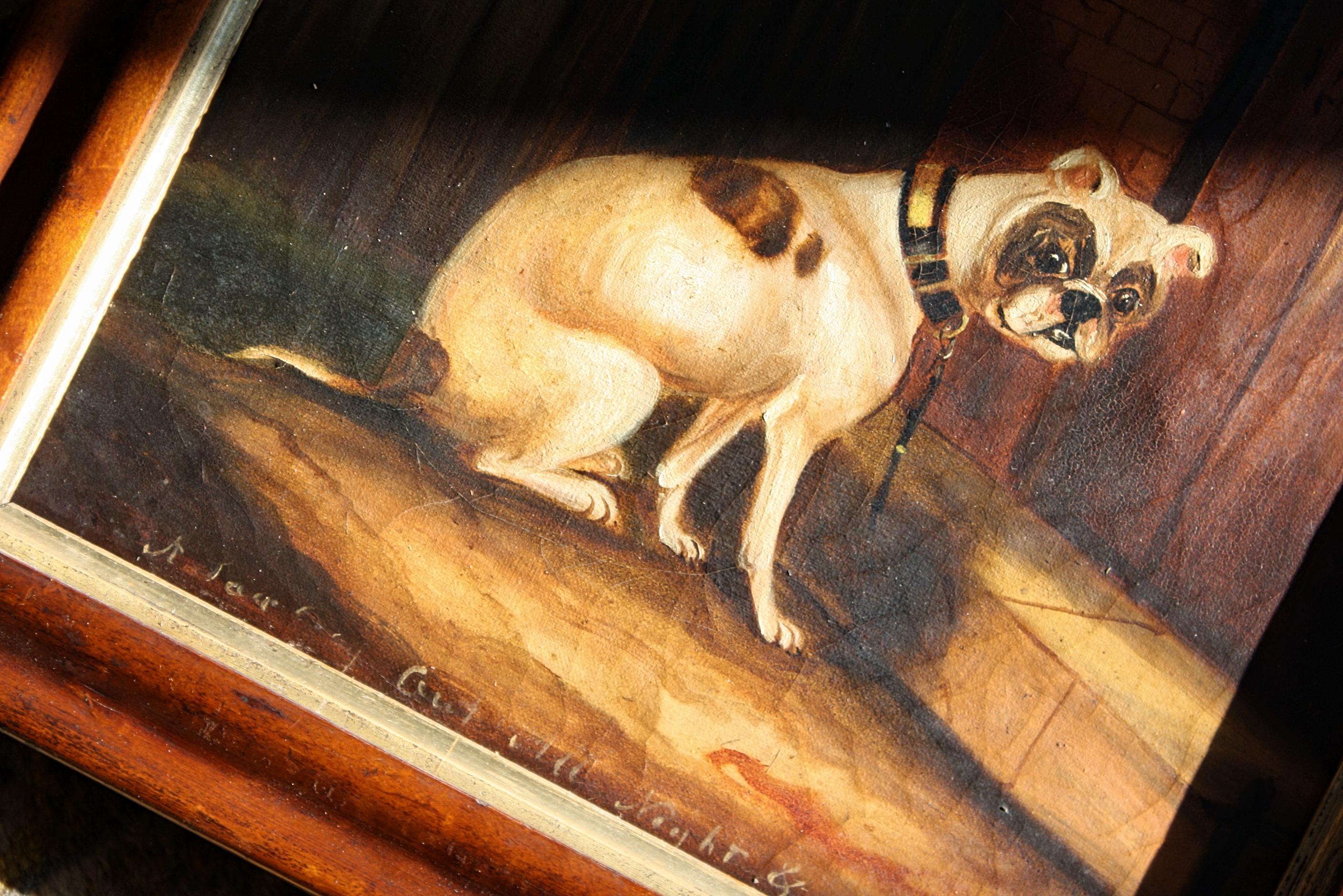 Naive Oil Canvas Bulldog Maple Frame 'A Sad Dog Out All Night & No Key' 2