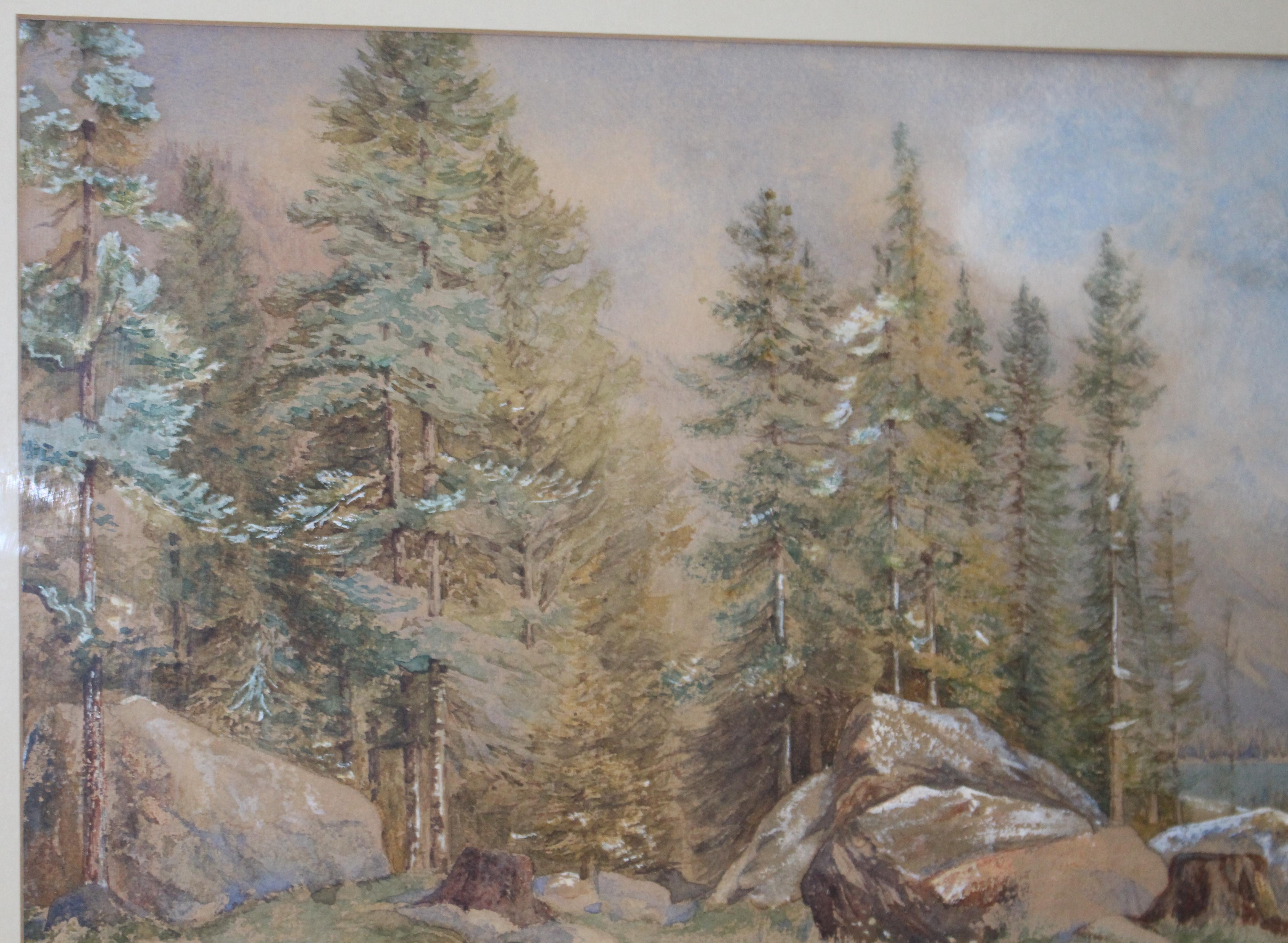 19th Century North American Landscape Watercolor In Good Condition For Sale In Worcester, Worcestershire