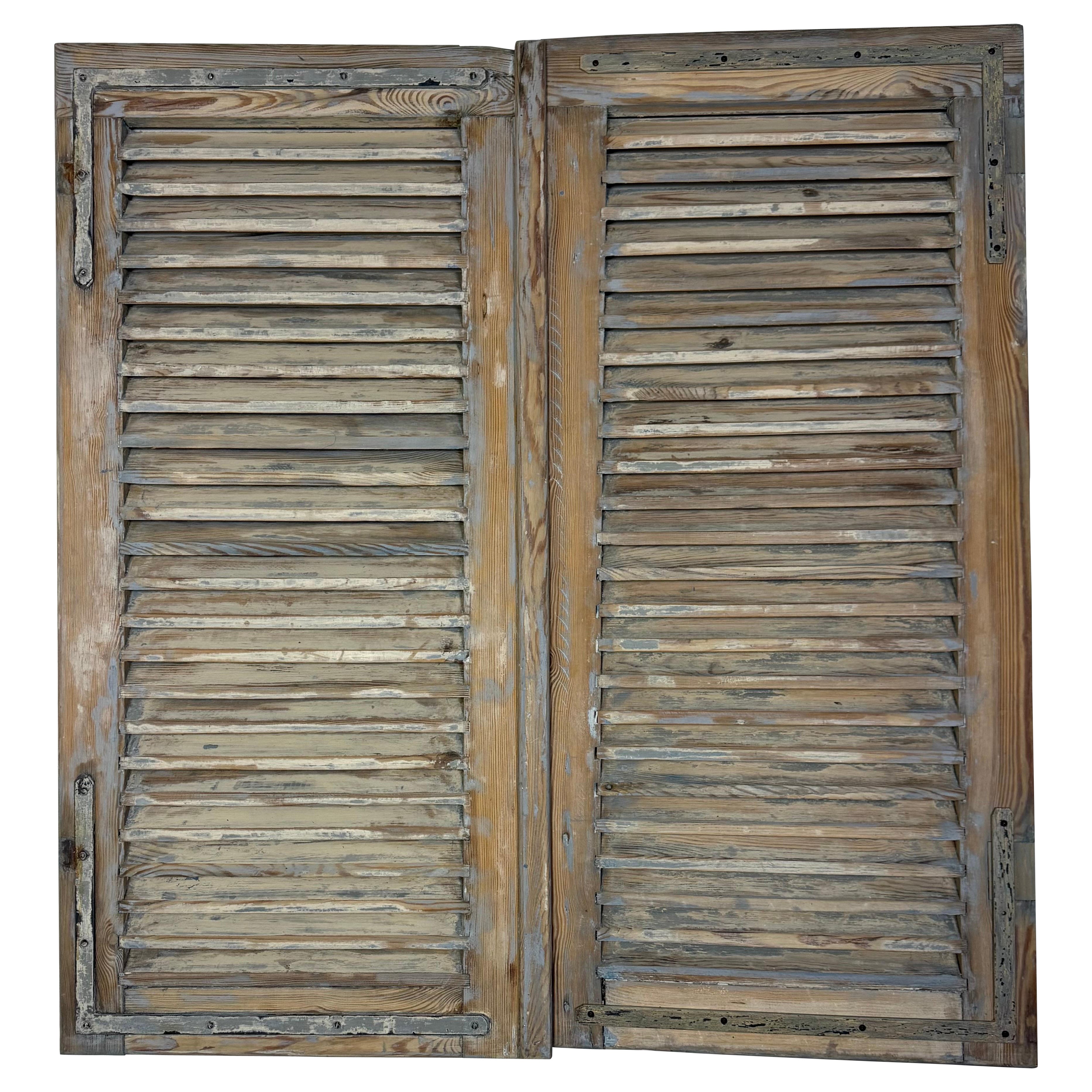 19th C. Pair of French Painted Shutters