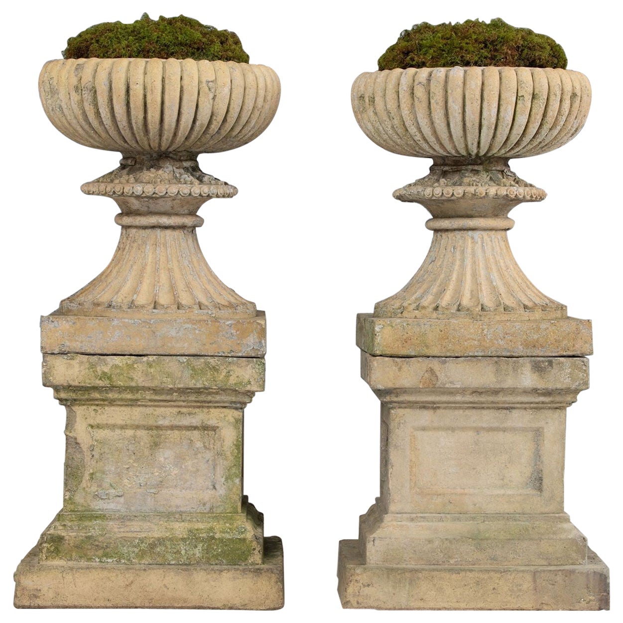 19e s. Paire d'urnes en terre cuite écossaise avec socles Classic