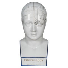 Antique 19th c. Phrenology Porcelain Bust c.1800s
