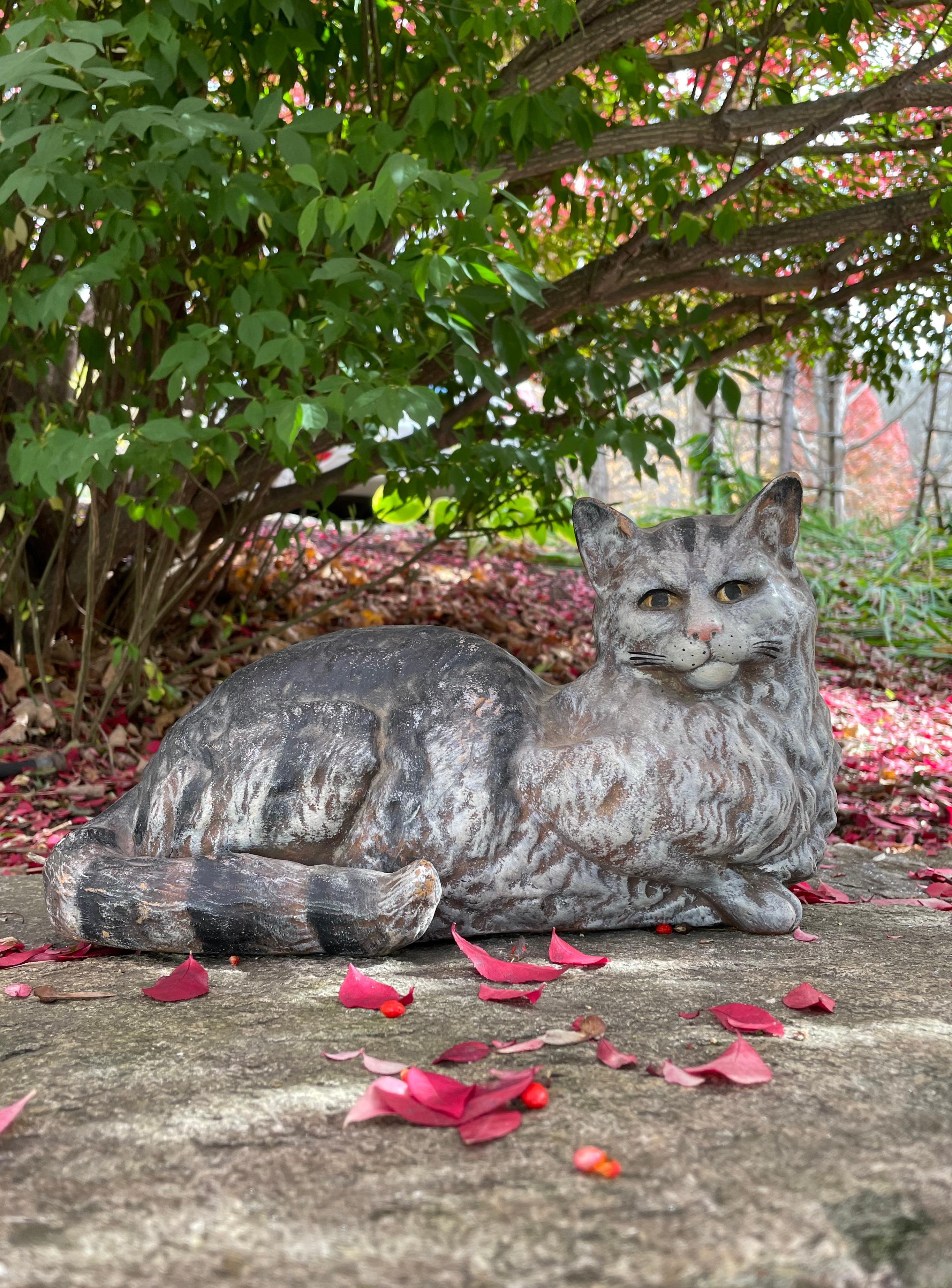 portuguese cat