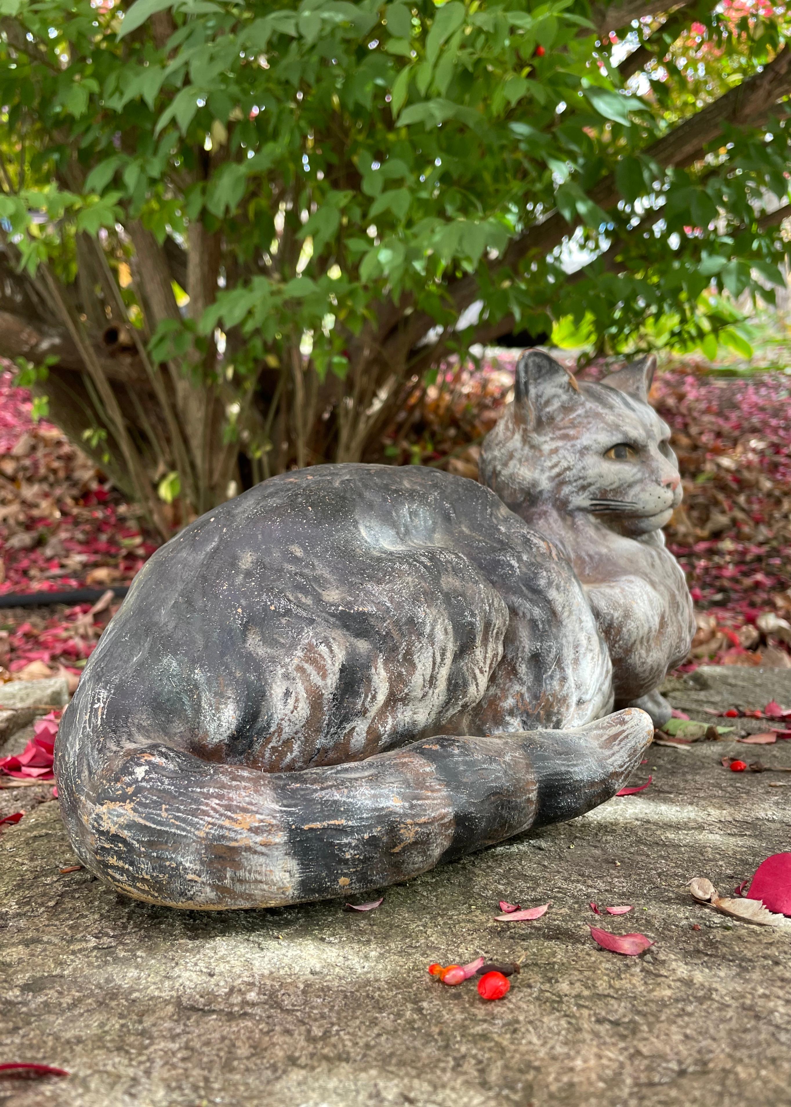 portugese cat