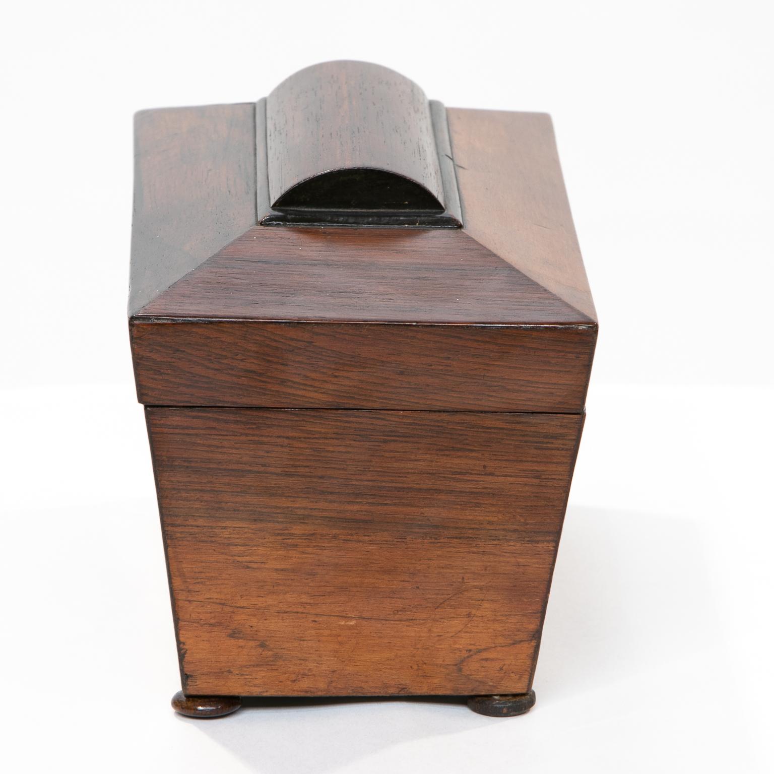 English 19th Century Regency Rosewood Sarcophagus Tea Caddy